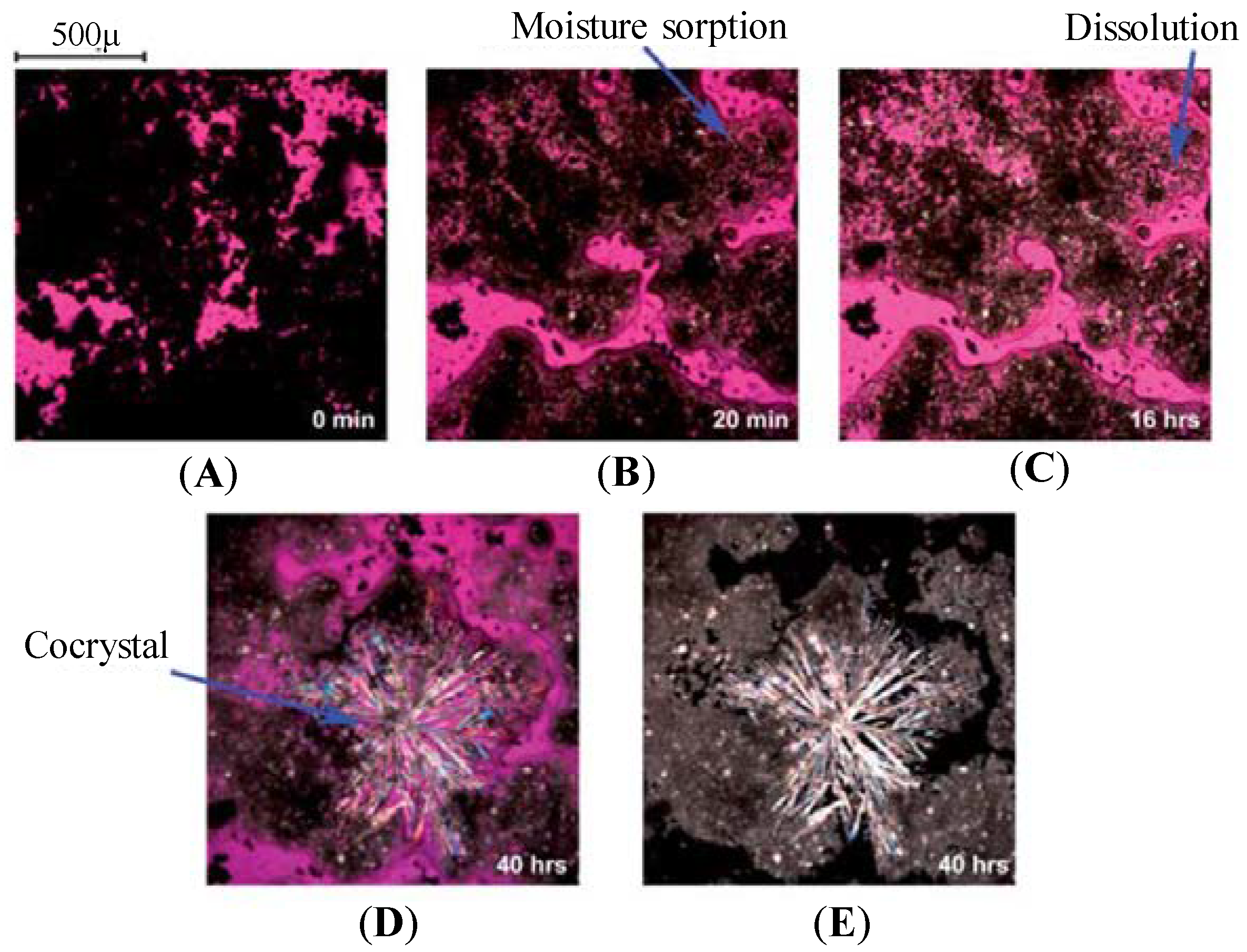 Pharmaceutics 10 00108 g011 550