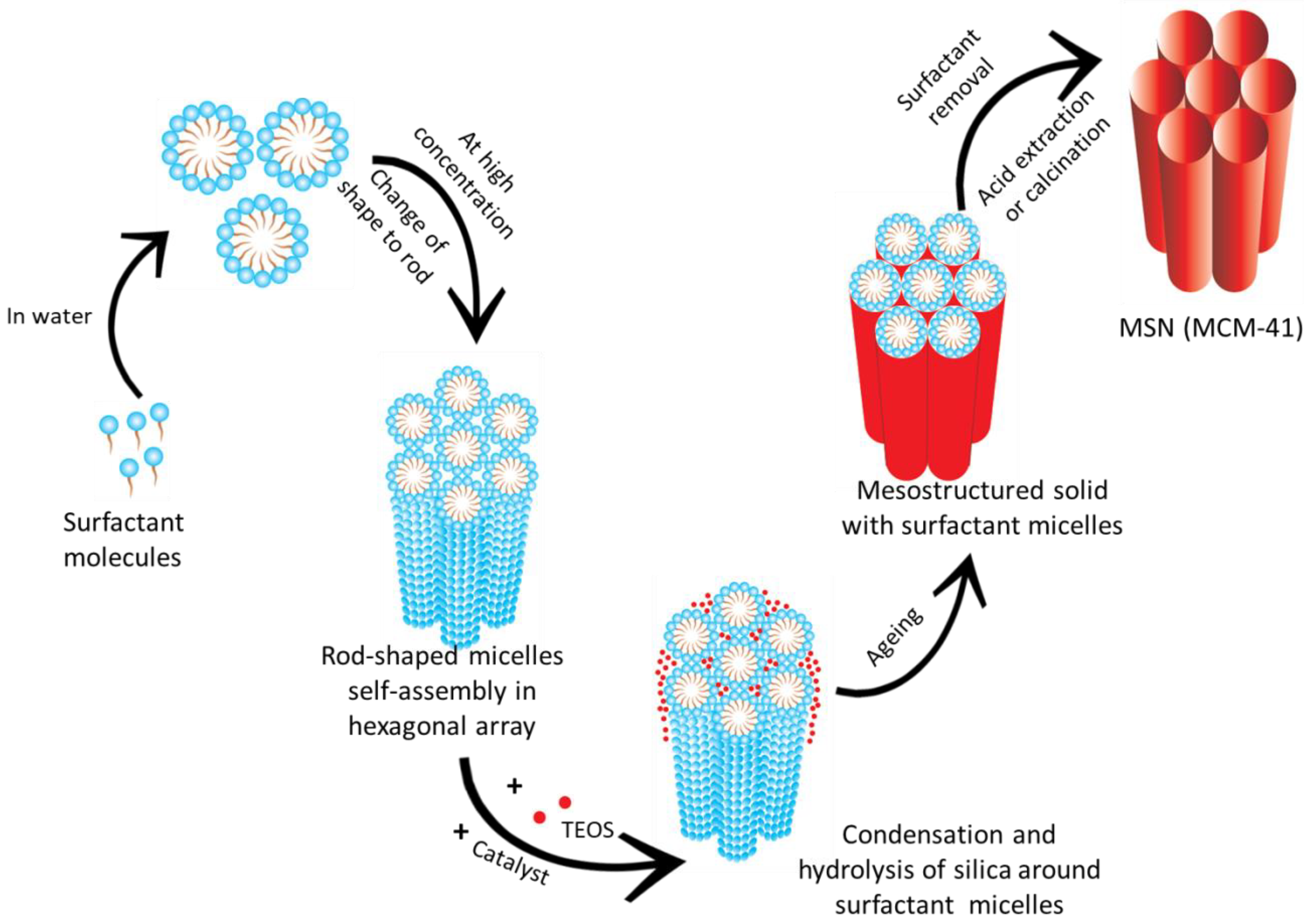 Pharmaceutics 10 00118 g002