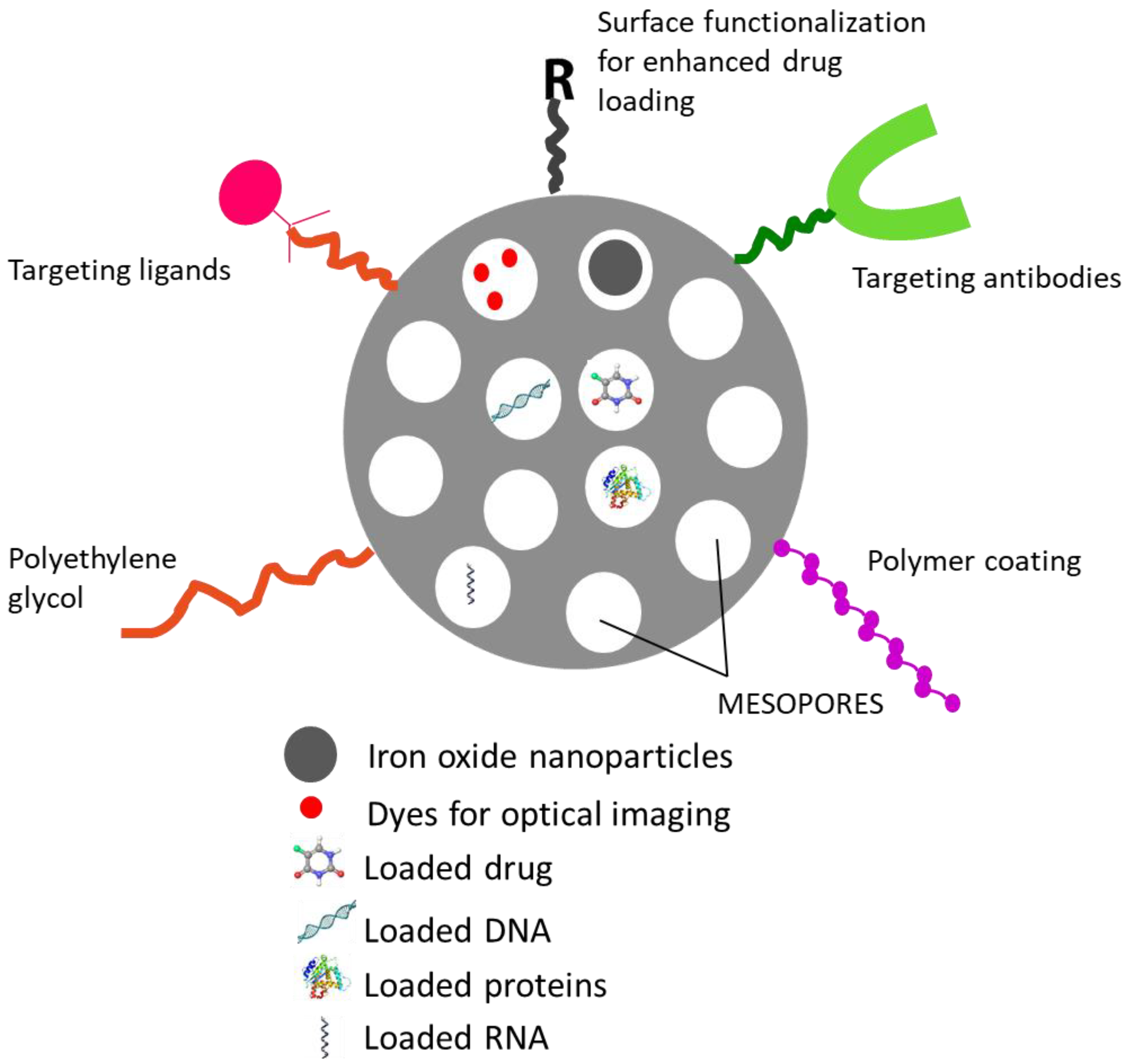 Pharmaceutics 10 00118 g003