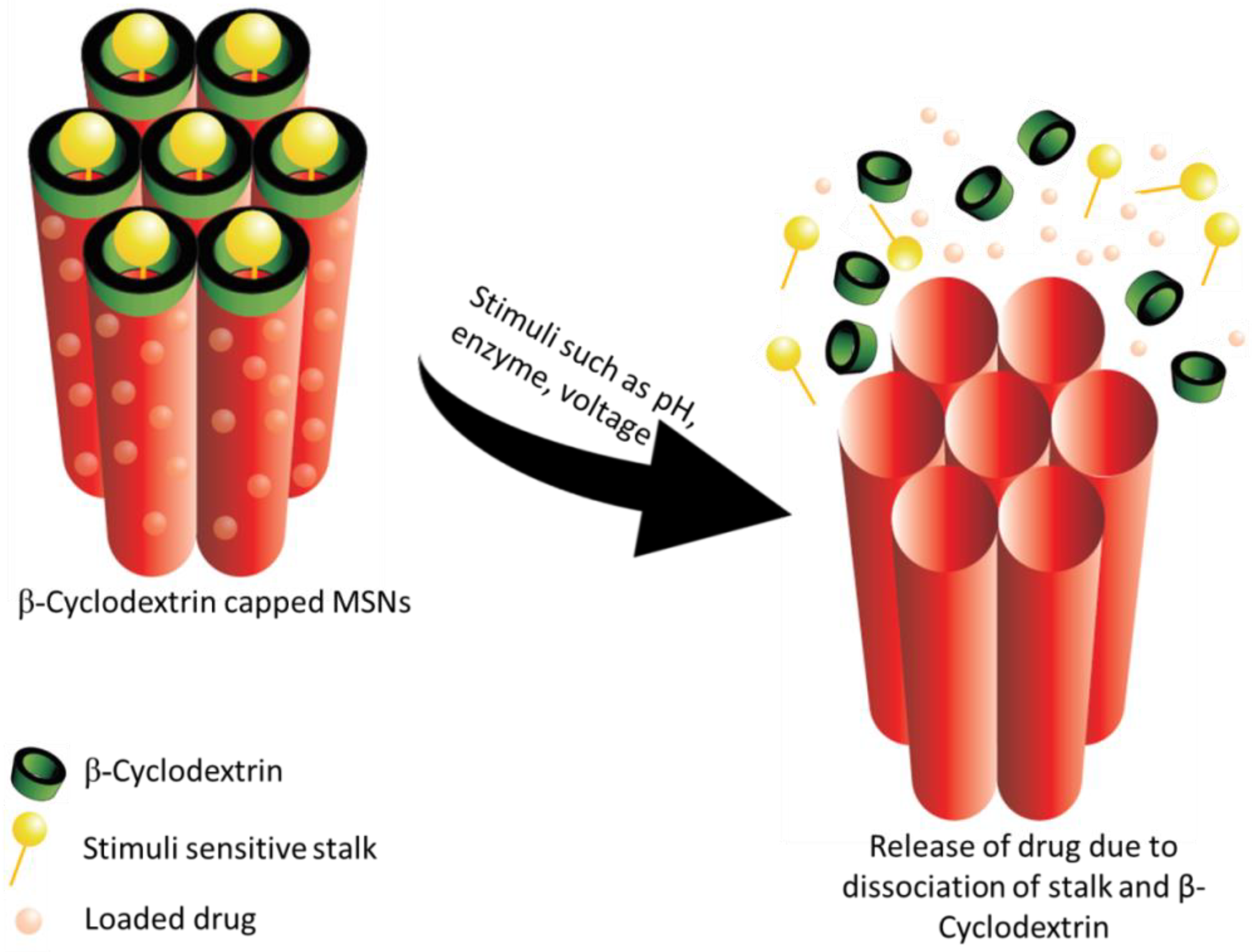 Pharmaceutics 10 00118 g004