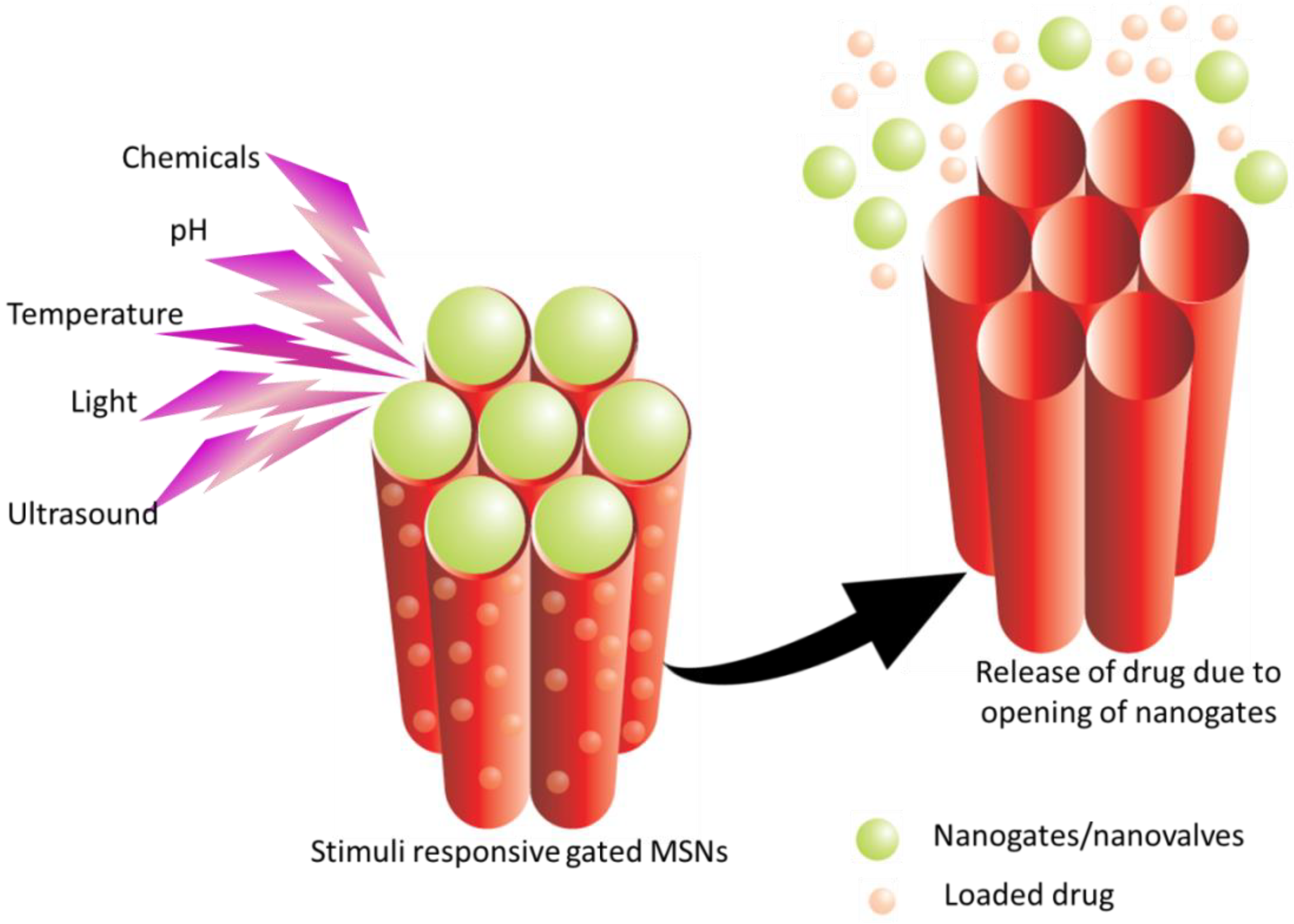 Pharmaceutics 10 00118 g005