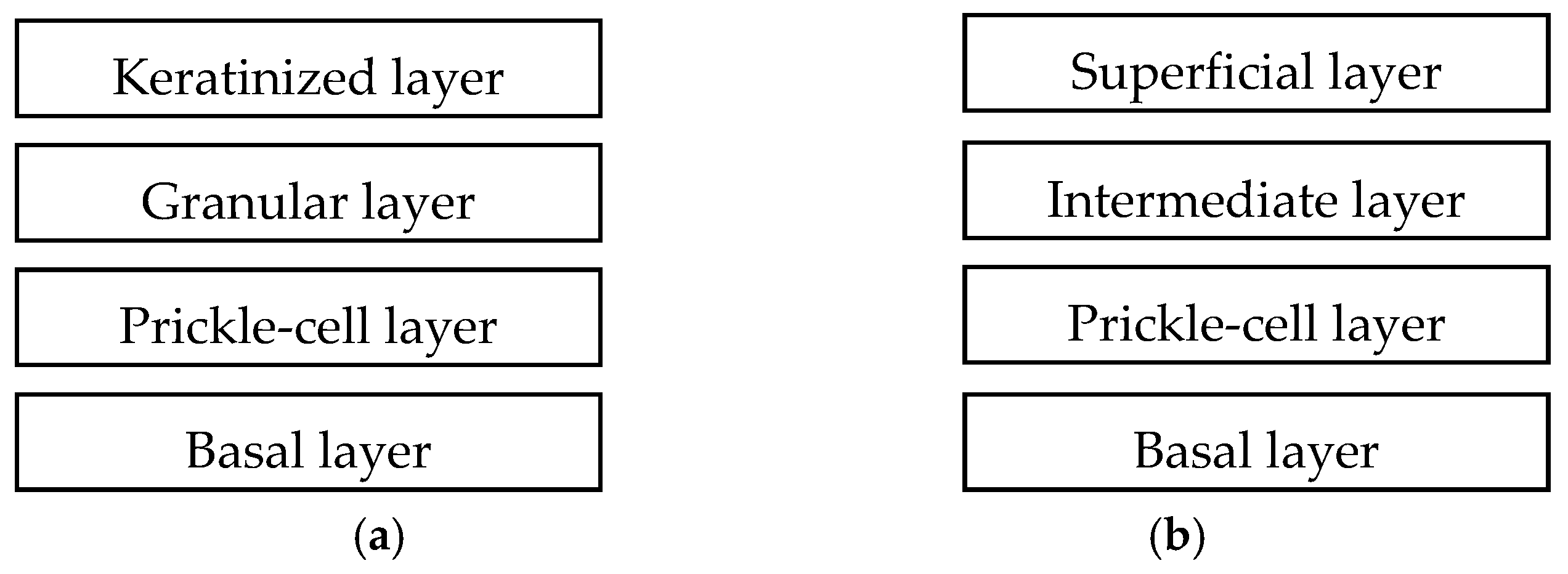 Pharmaceutics 10 00121 g002