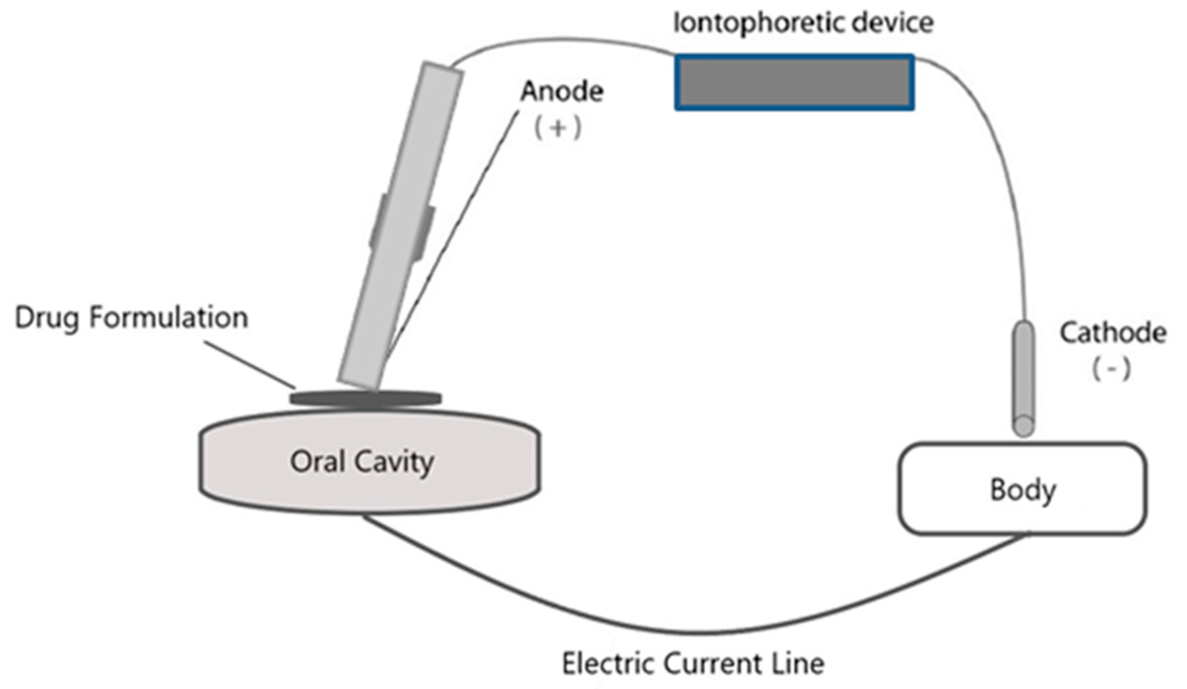 Pharmaceutics 10 00121 g003