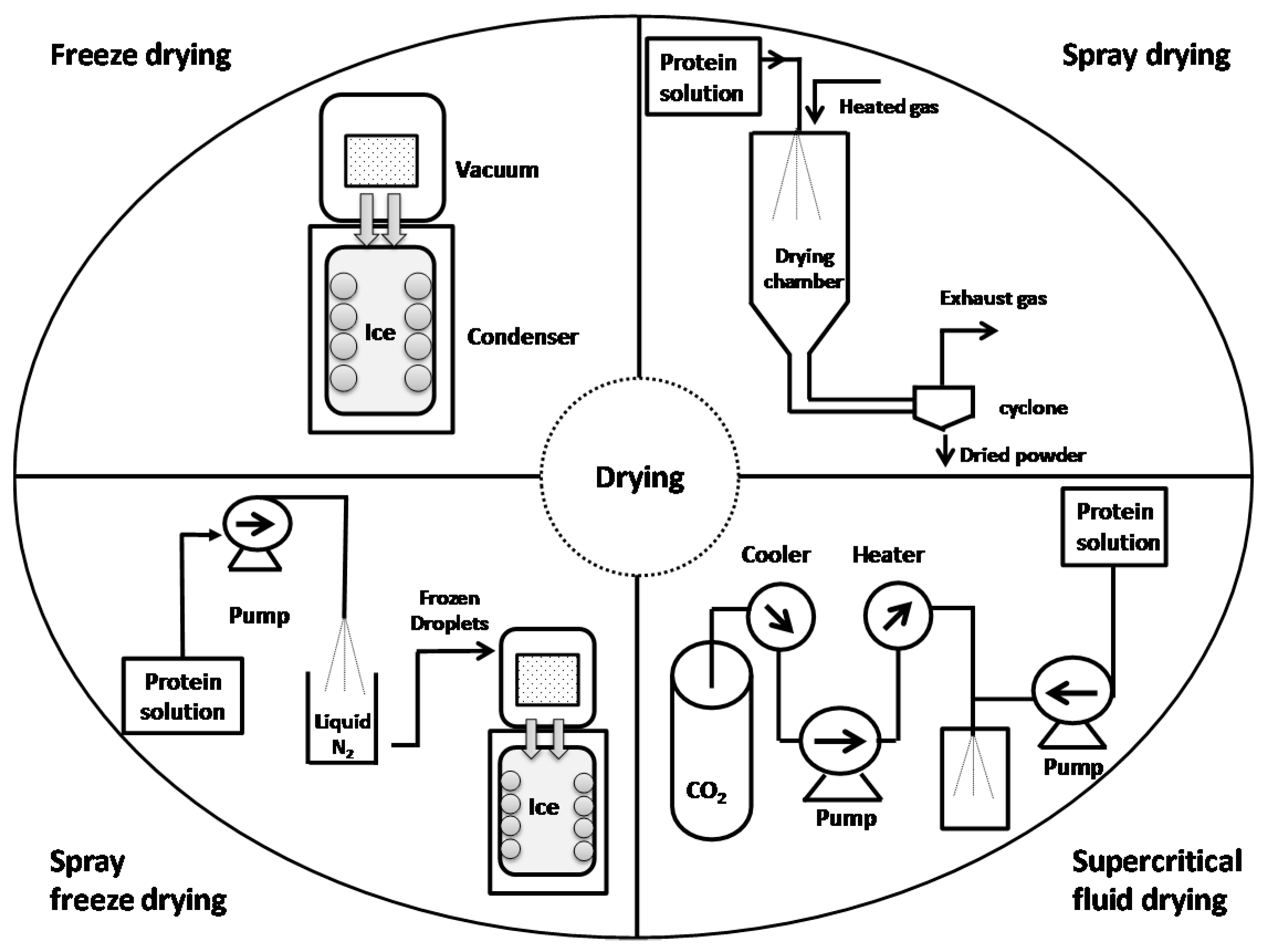 Pharmaceutics 10 00131 g001 Pharmaceutics 10 00131 g001
