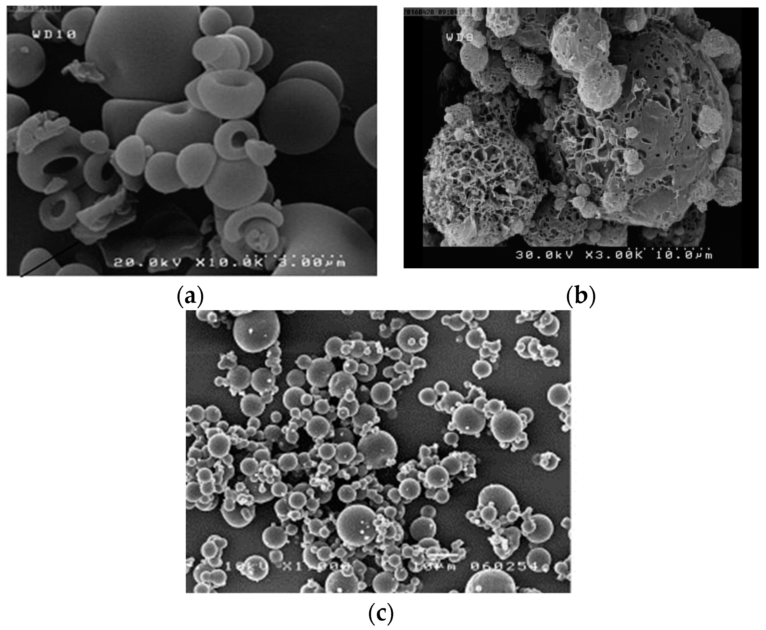 Pharmaceutics 10 00131 g002 Pharmaceutics 10 00131 g002