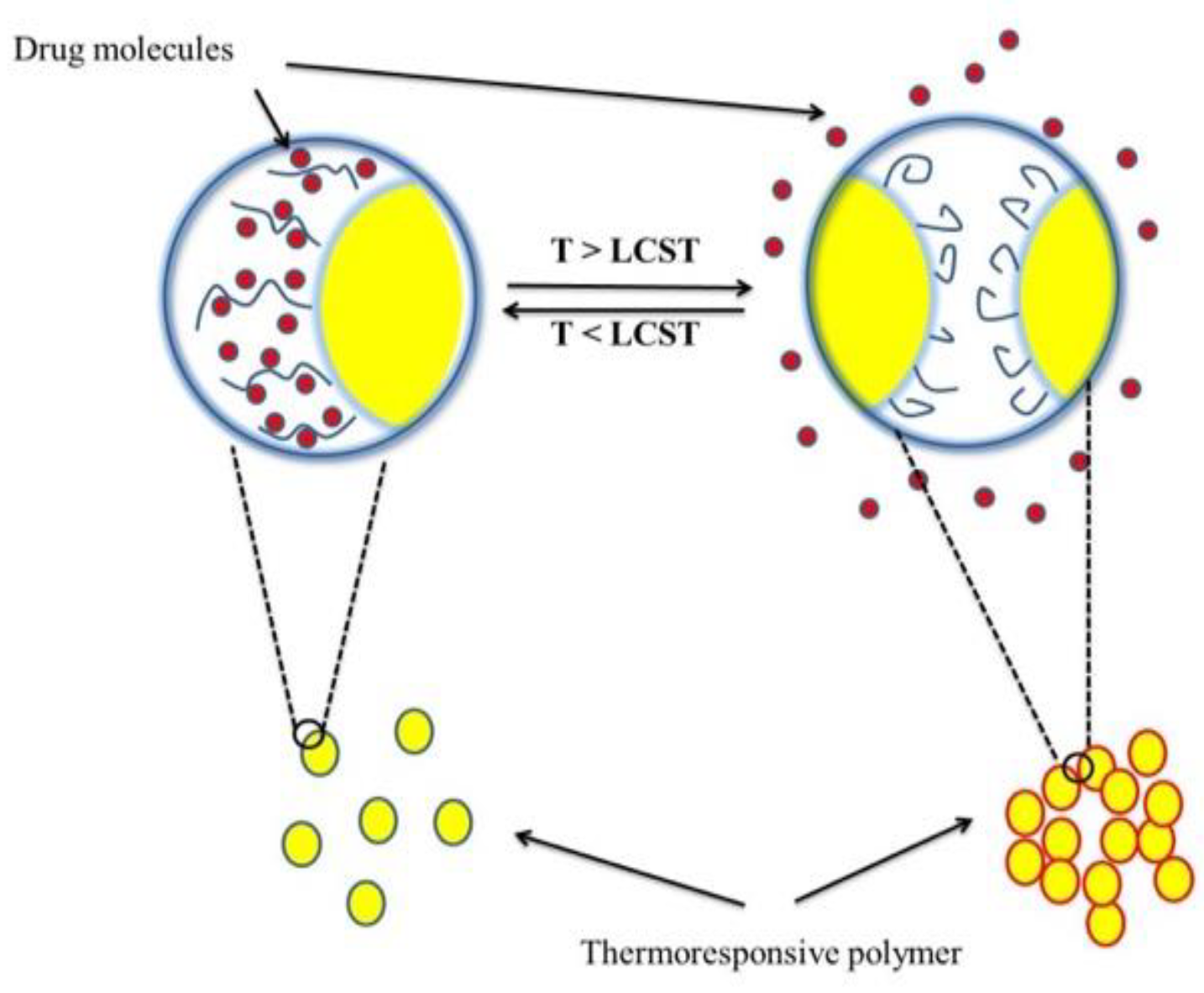 Pharmaceutics 10 00136 g004 Pharmaceutics 10 00136 g004