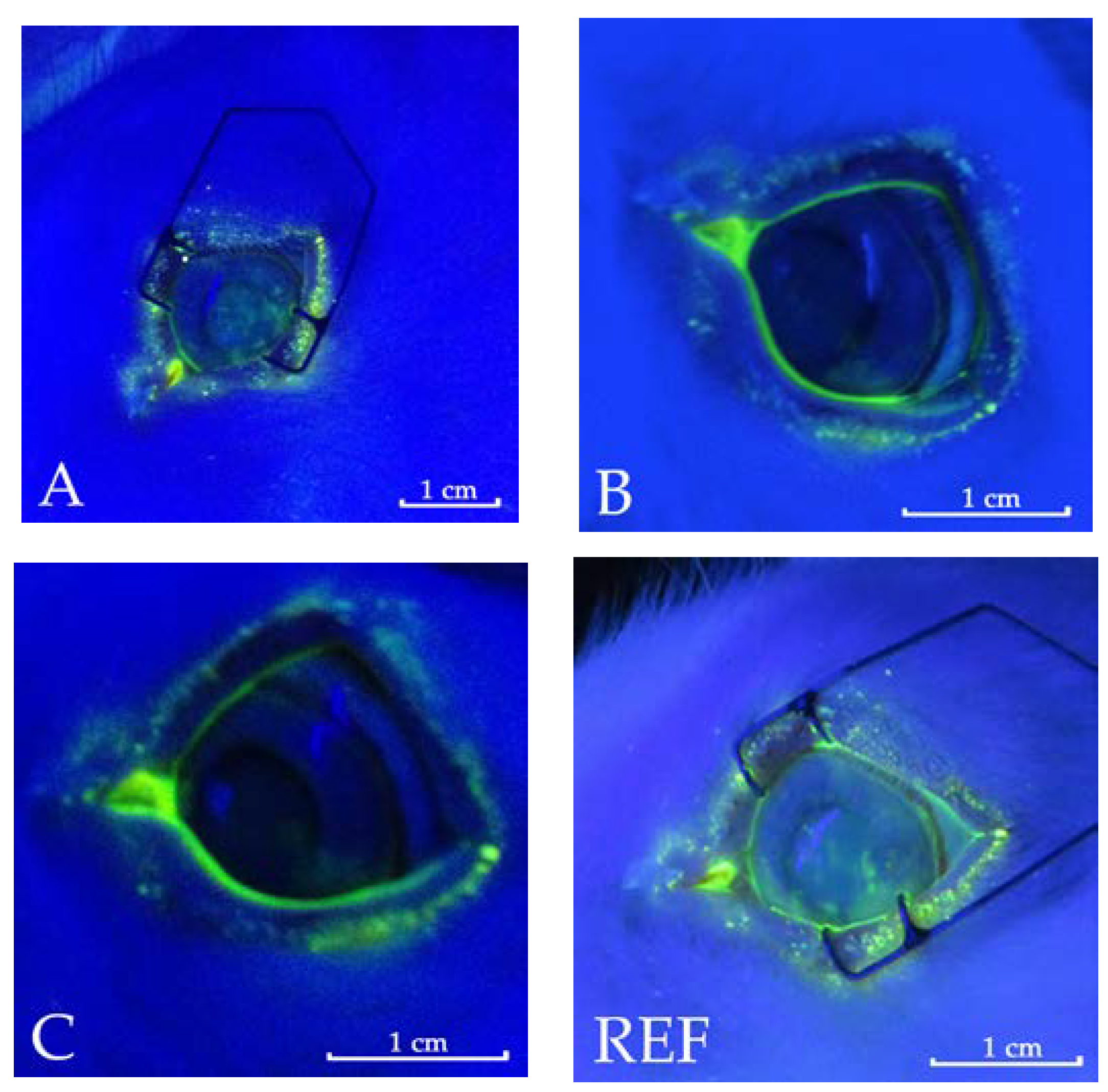 Pharmaceutics 10 00137 g008