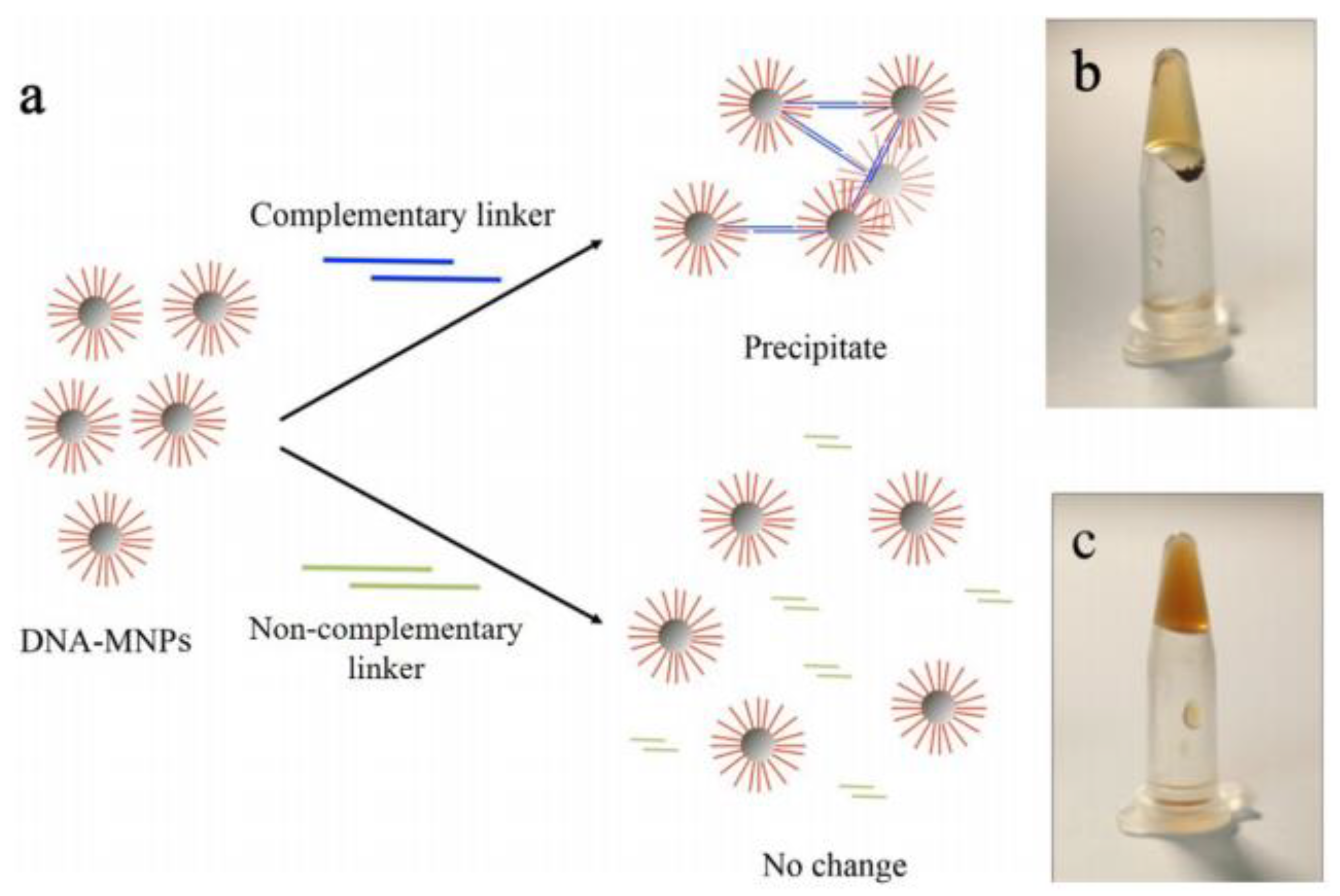 Pharmaceutics 10 00145 g007