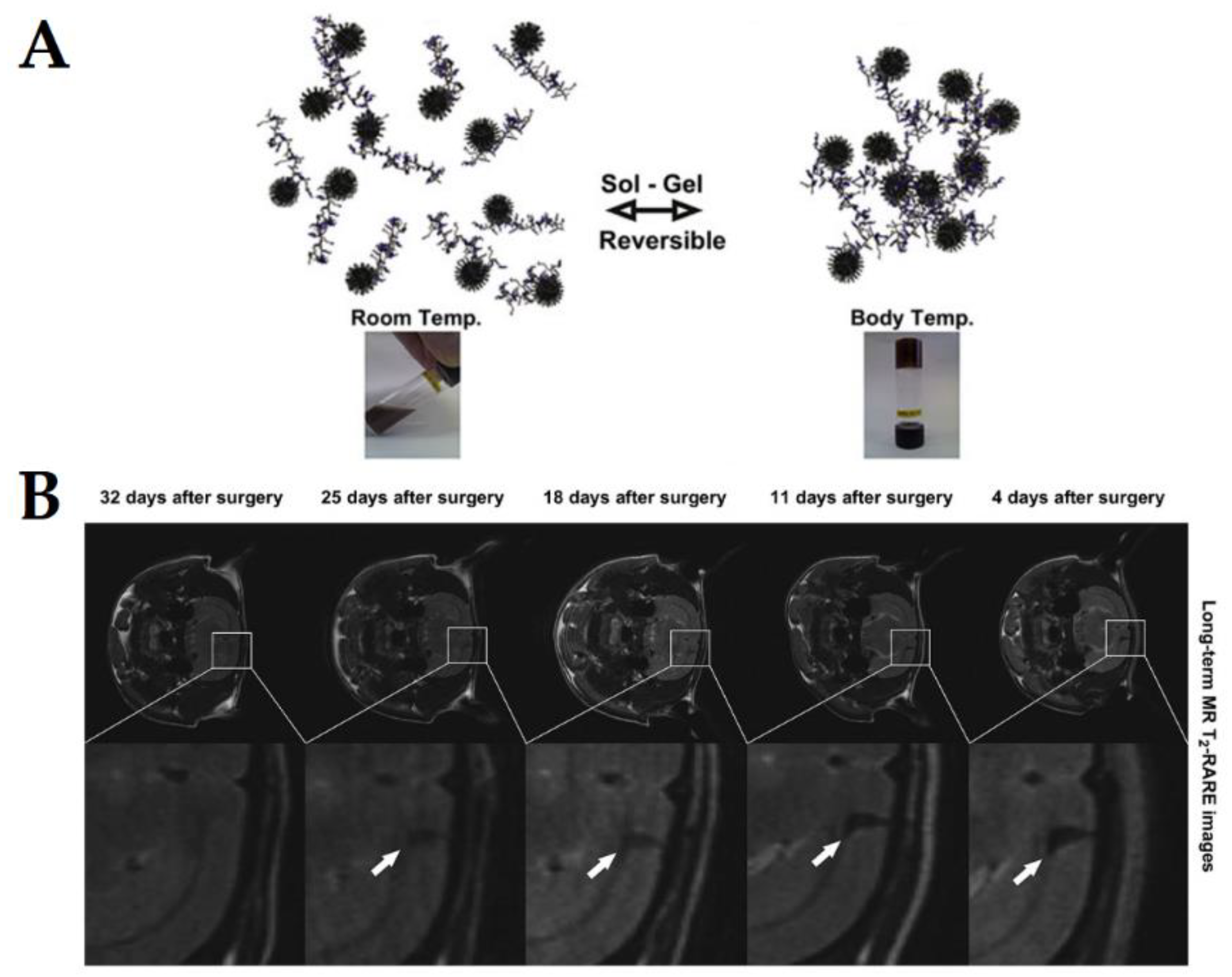 Pharmaceutics 10 00145 g008