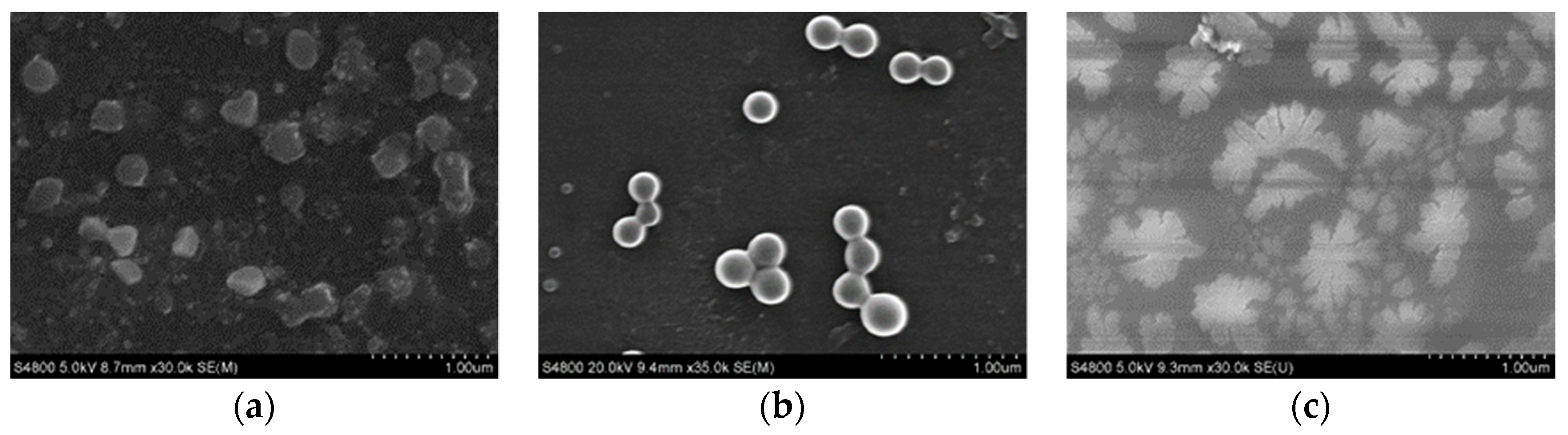 Pharmaceutics 10 00155 g004 Pharmaceutics 10 00155 g004