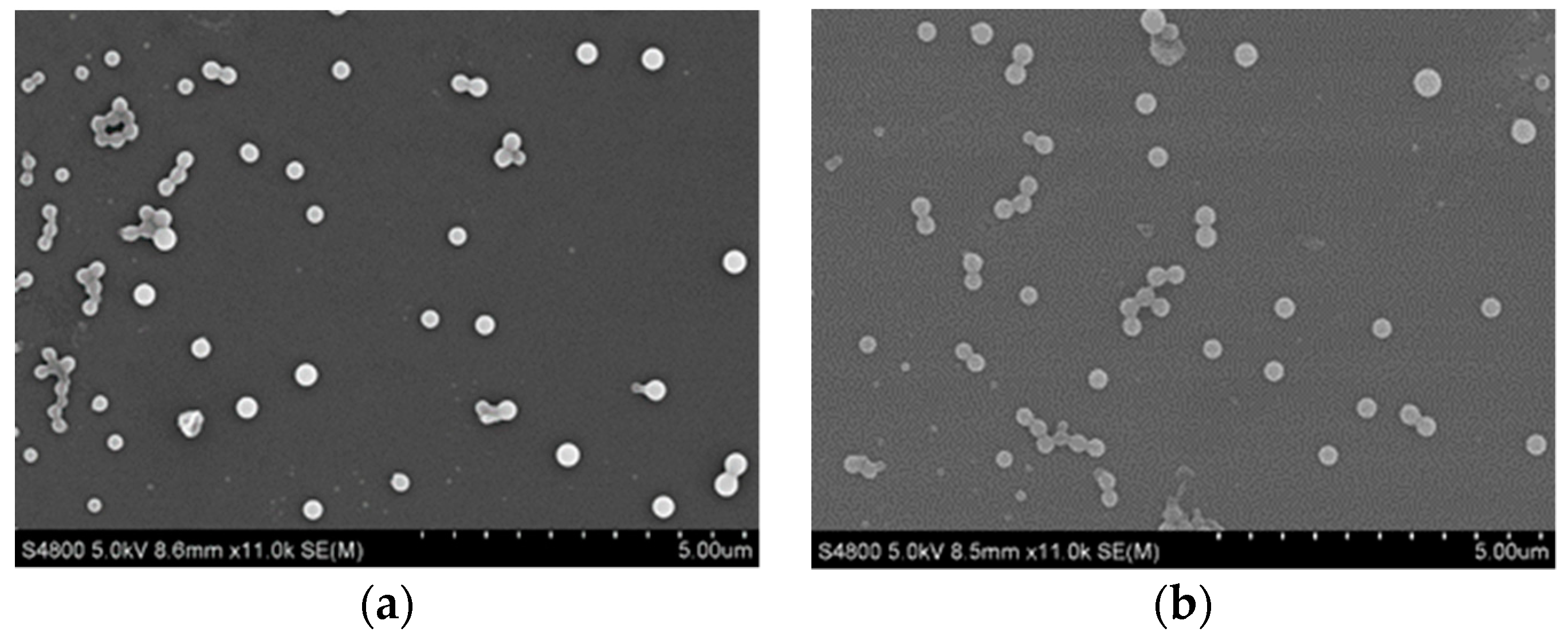 Pharmaceutics 10 00155 g009 Pharmaceutics 10 00155 g009