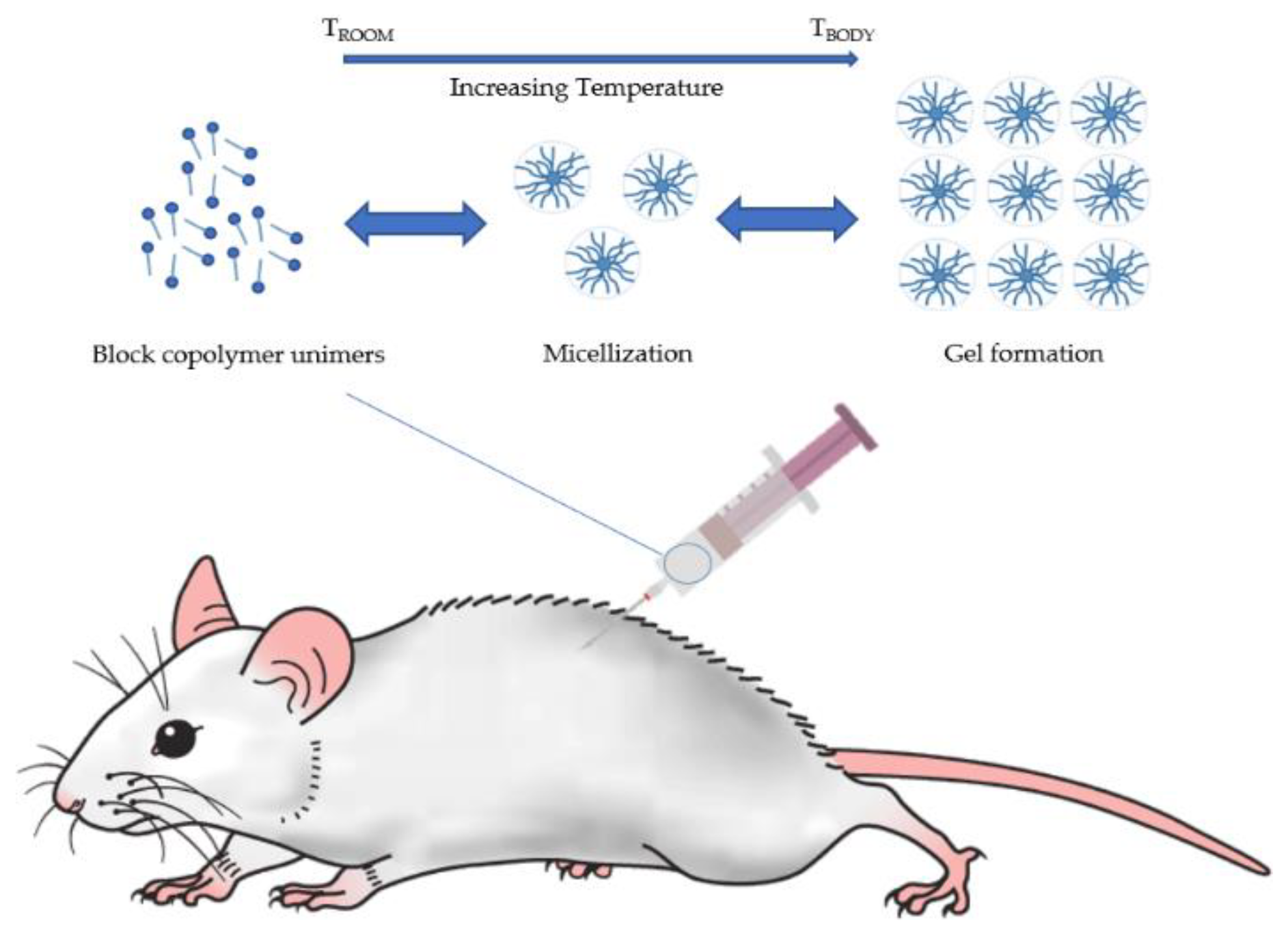 Pharmaceutics 10 00159 g002 Pharmaceutics 10 00159 g002