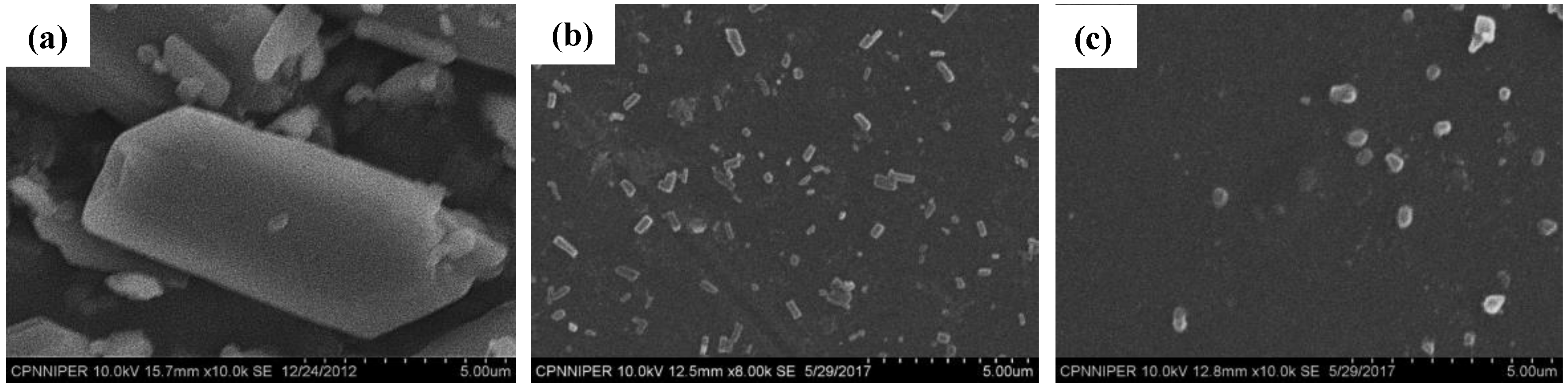Pharmaceutics 10 00160 g003