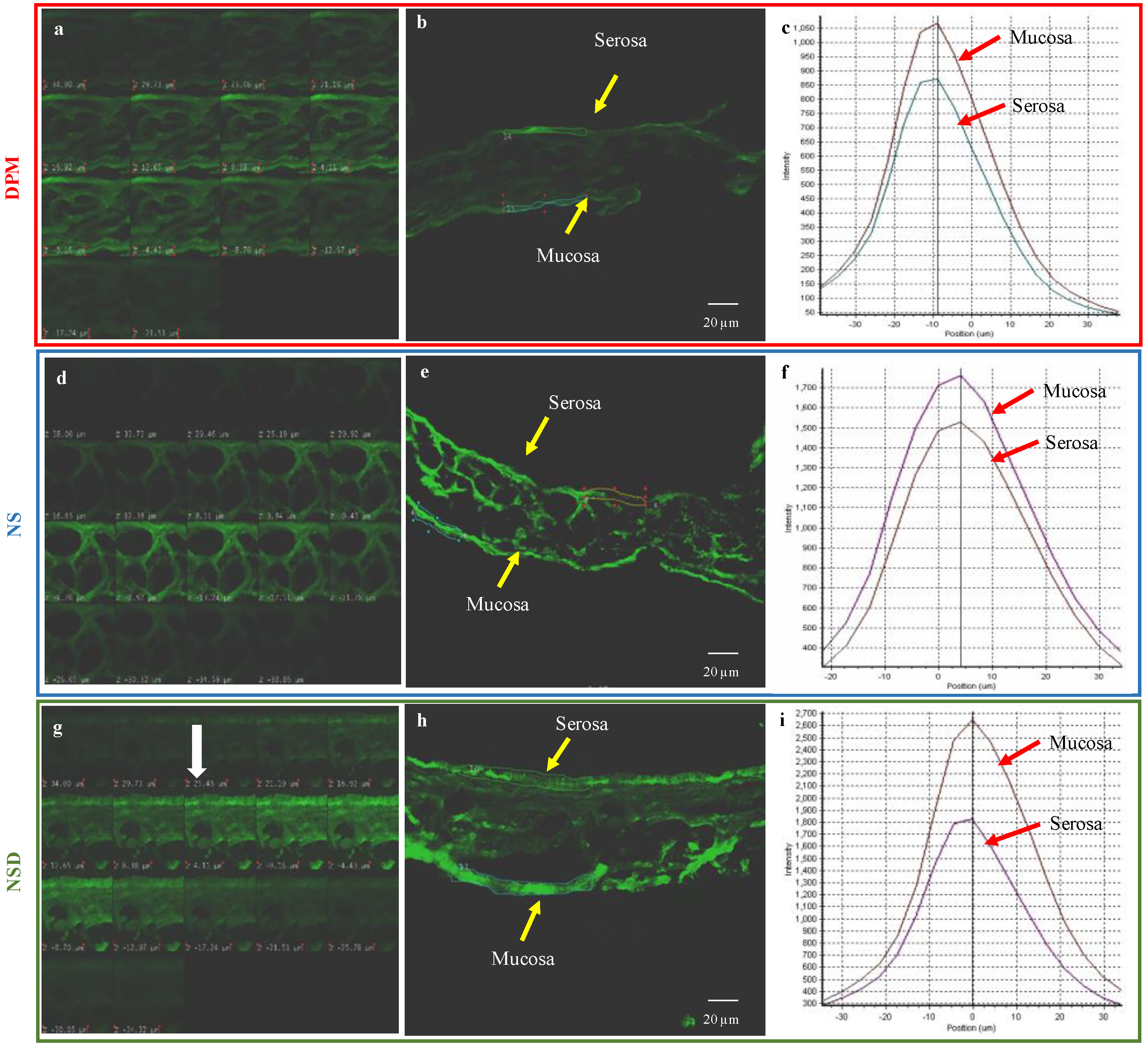 Pharmaceutics 10 00160 g006