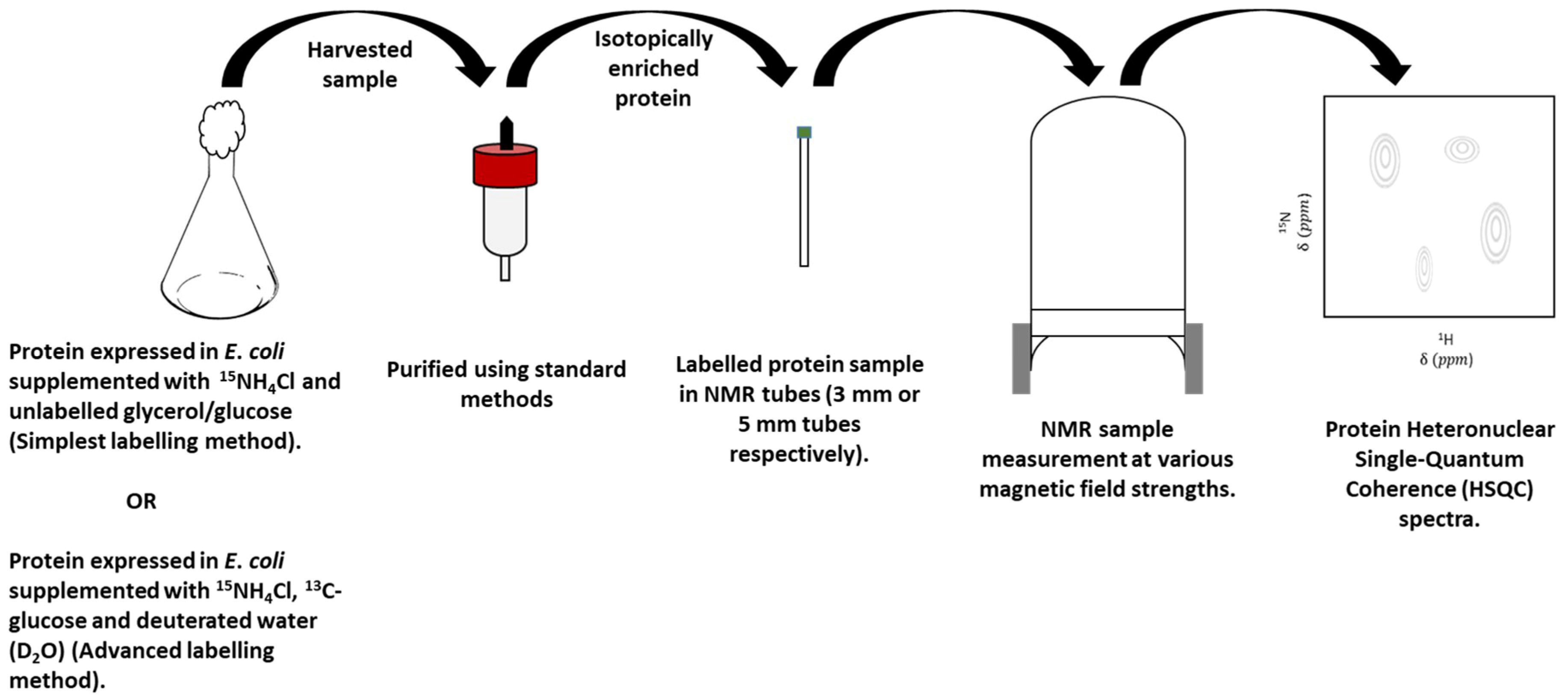 Pharmaceutics 10 00165 g004 Pharmaceutics 10 00165 g004