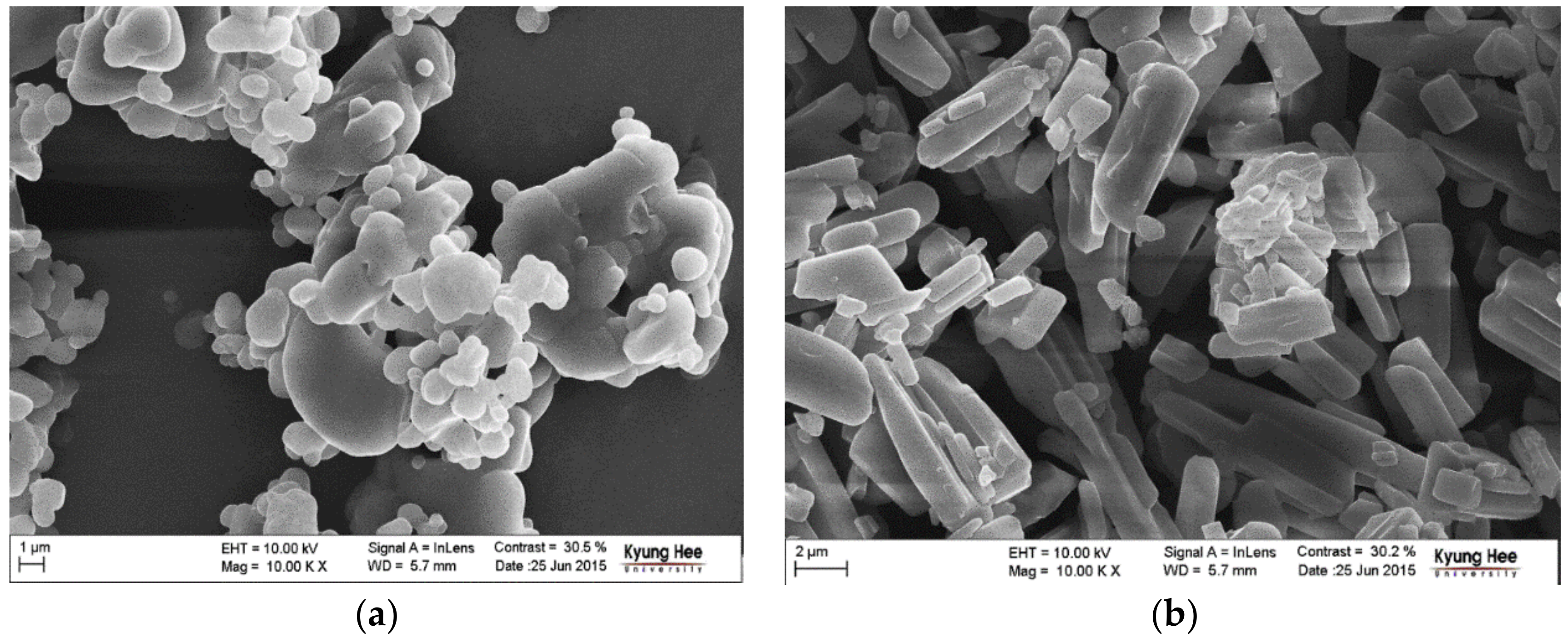 Pharmaceutics 10 00171 g003 550