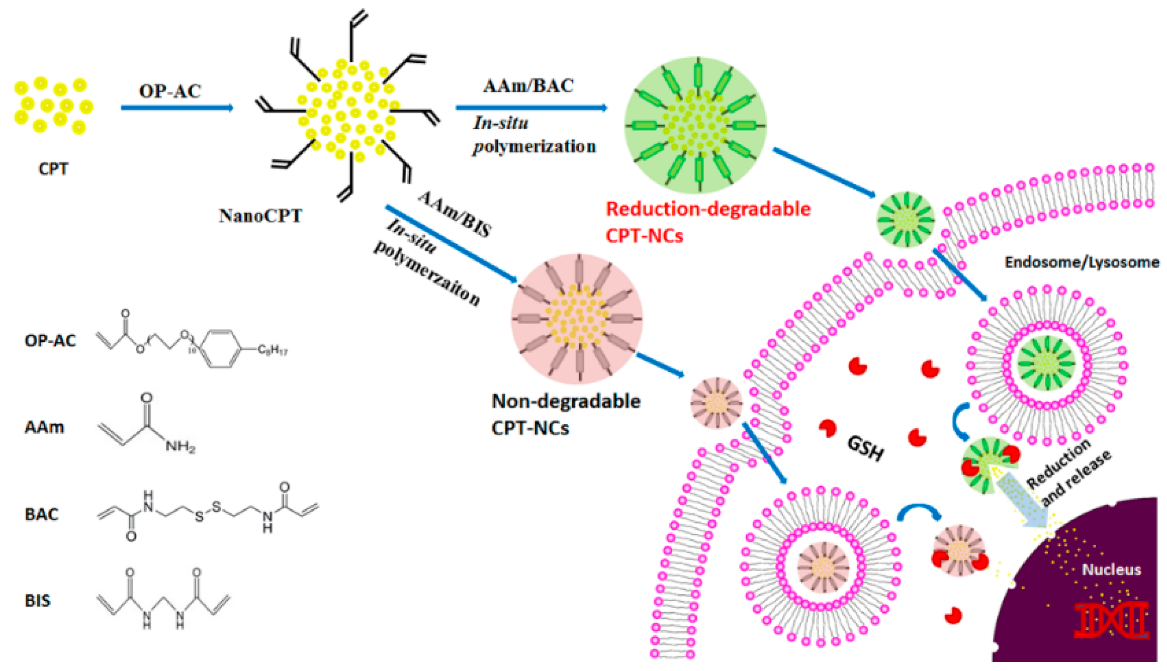 Pharmaceutics 10 00173 g001 Pharmaceutics 10 00173 g001