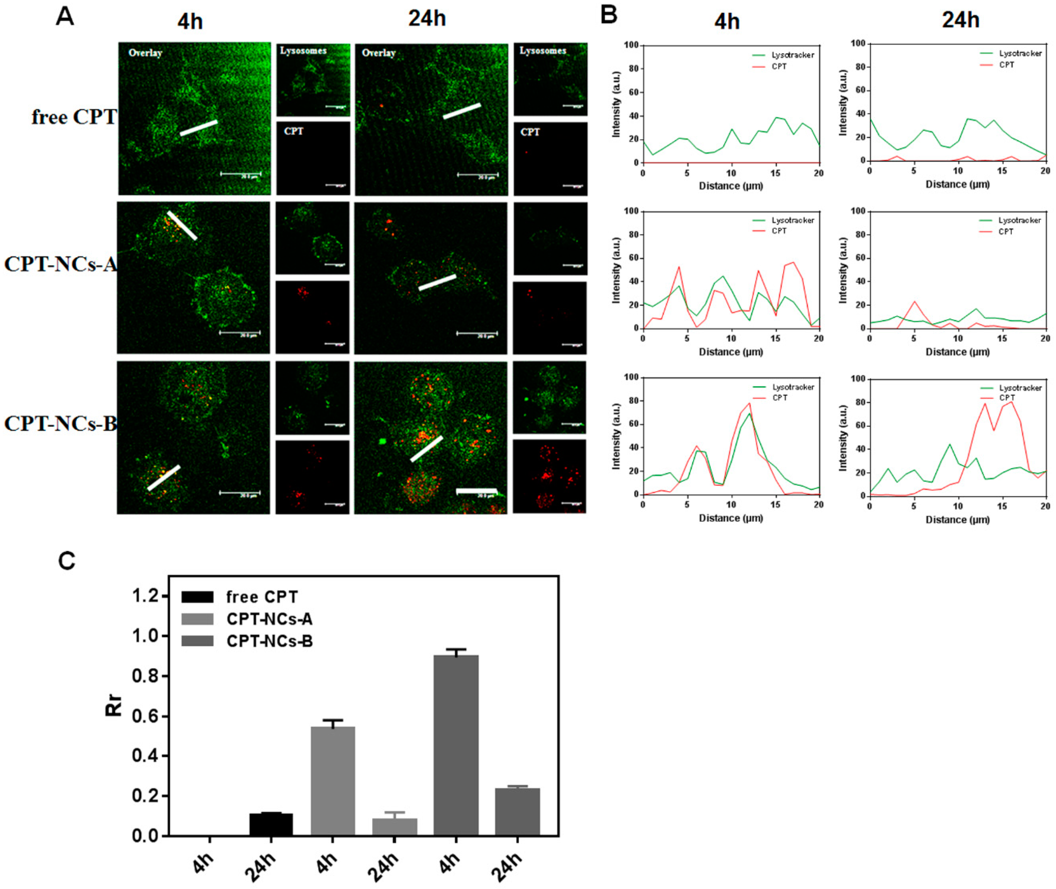 Pharmaceutics 10 00173 g005 Pharmaceutics 10 00173 g005