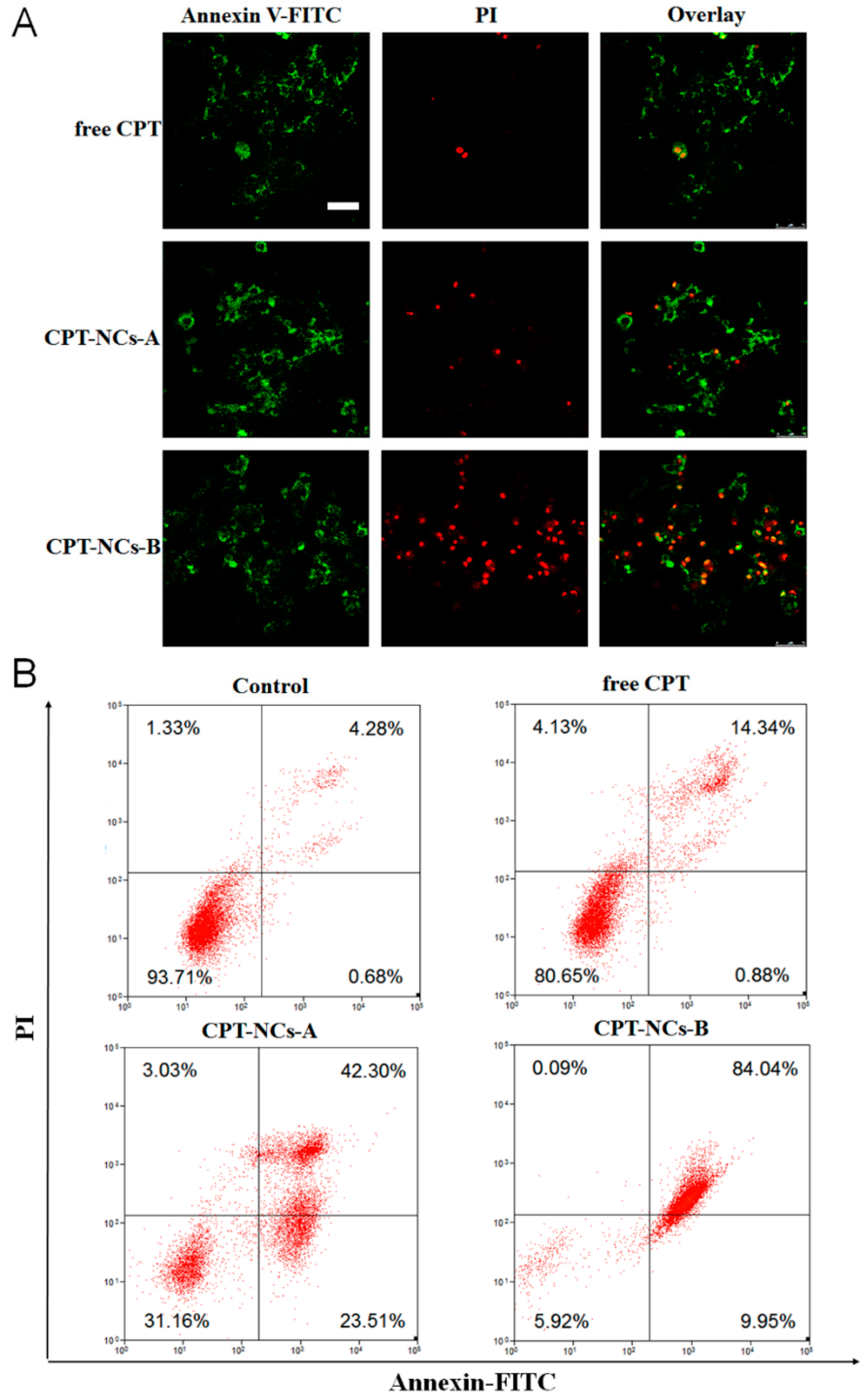 Pharmaceutics 10 00173 g007 Pharmaceutics 10 00173 g007