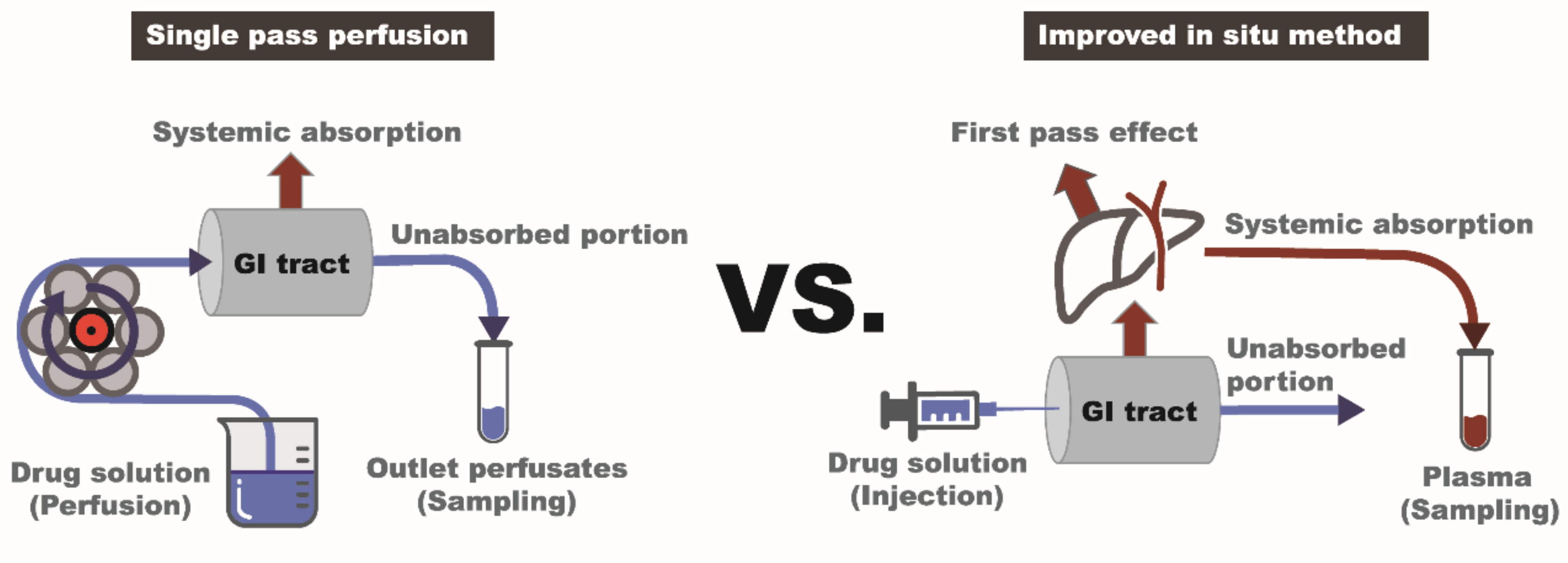 Pharmaceutics 10 00174 g001