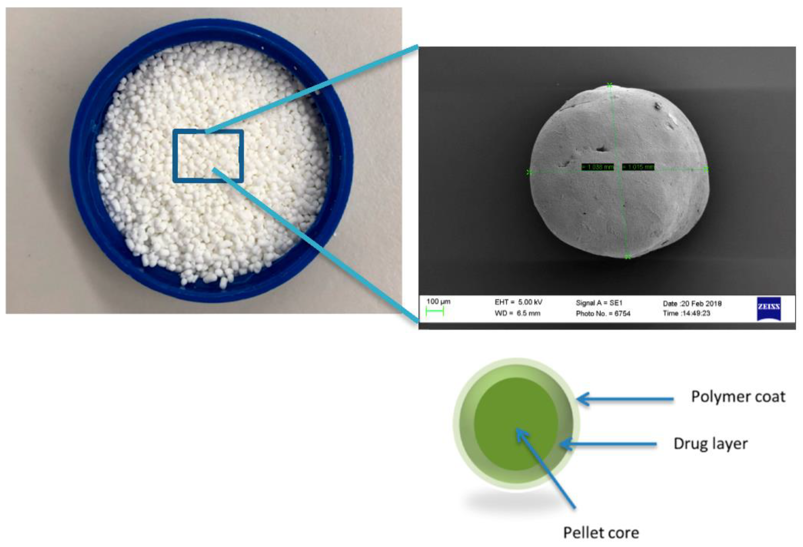 Pharmaceutics 10 00176 g002