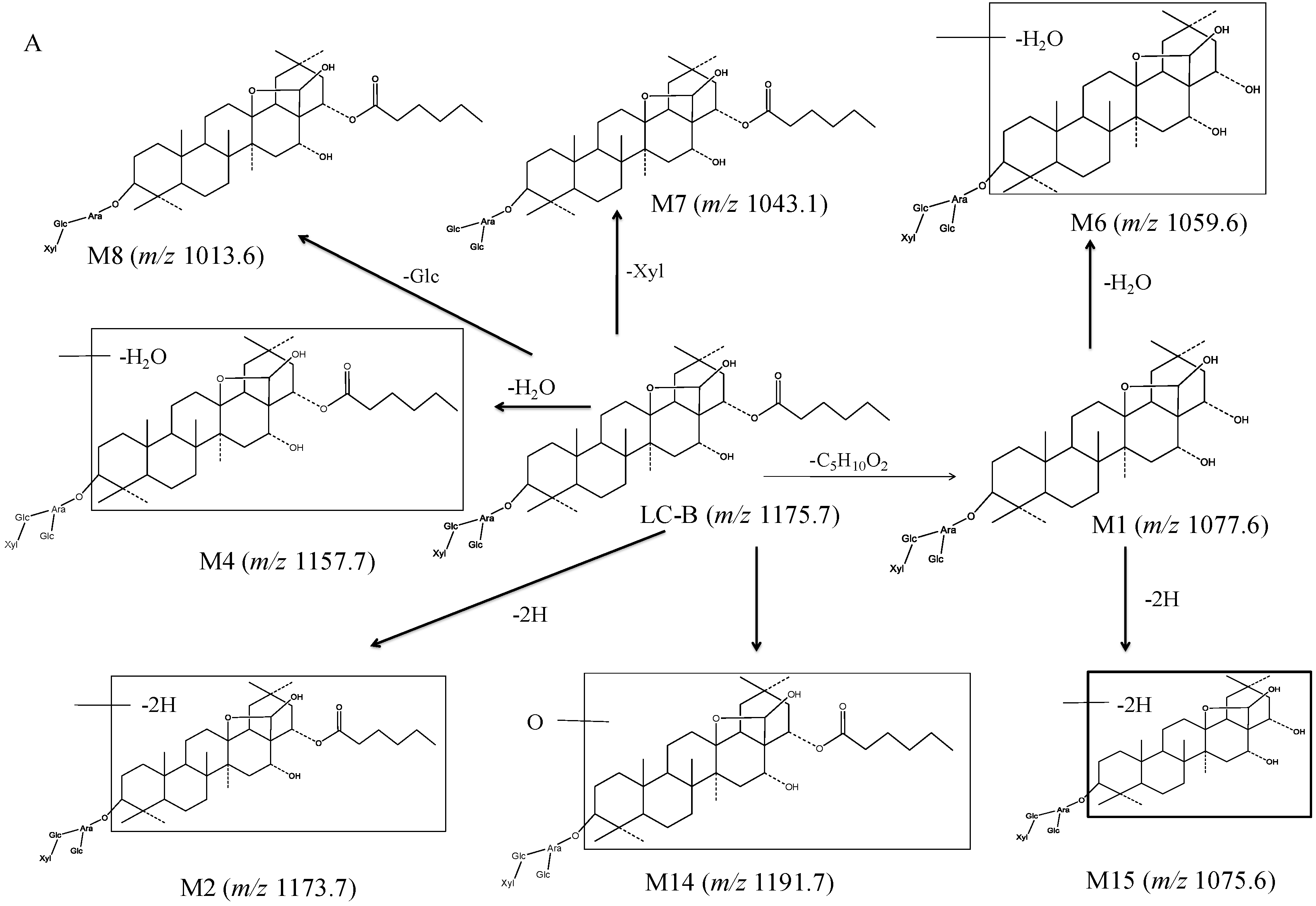 Pharmaceutics 10 00178 g004a Pharmaceutics 10 00178 g004a