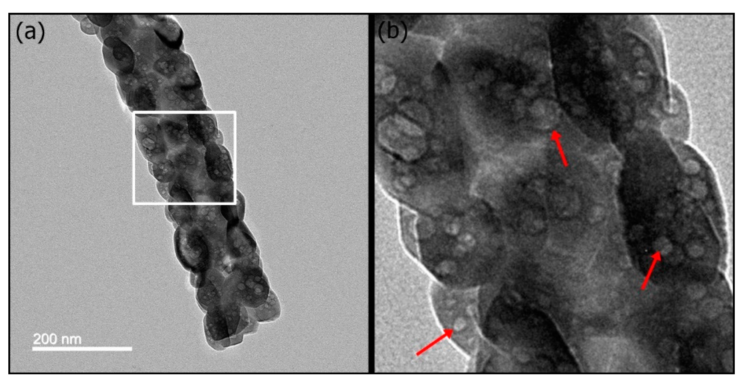 Pharmaceutics 10 00179 g002