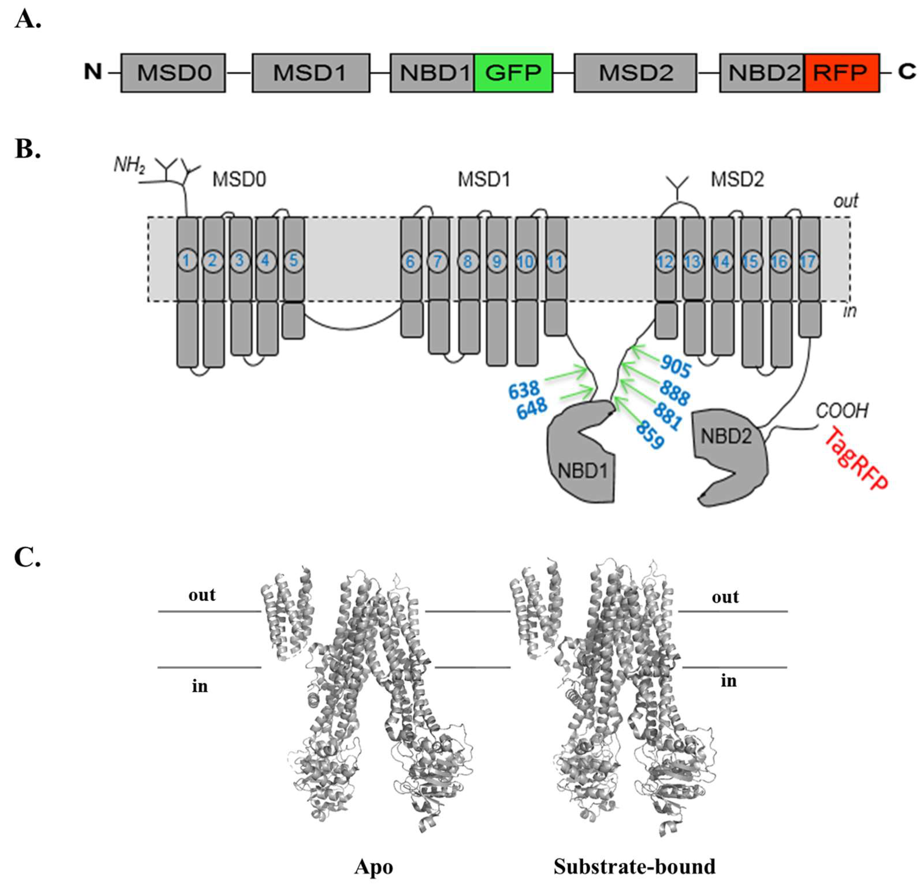 Pharmaceutics 10 00186 g001 Pharmaceutics 10 00186 g001