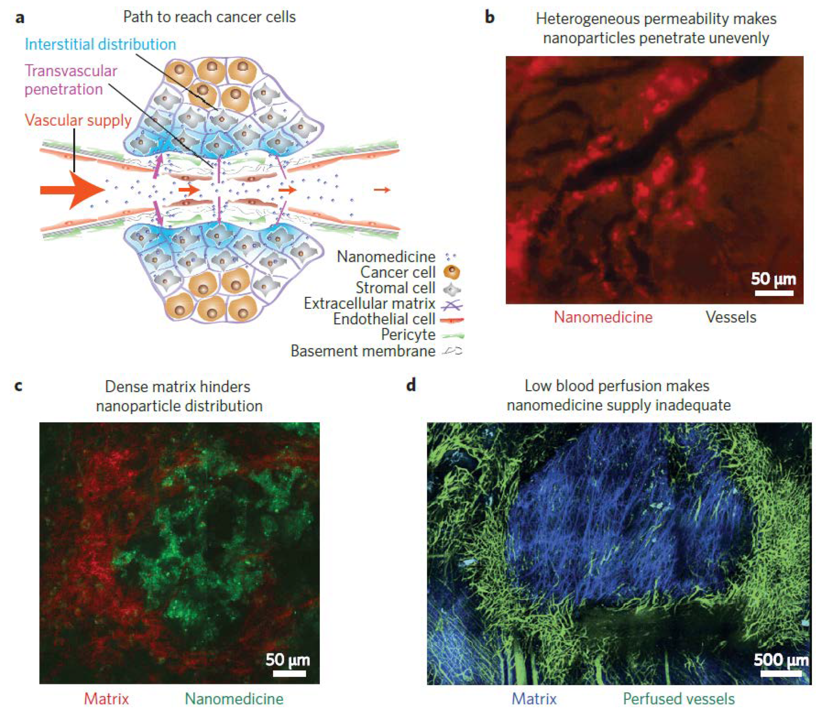 Pharmaceutics 10 00193 g001 Pharmaceutics 10 00193 g001