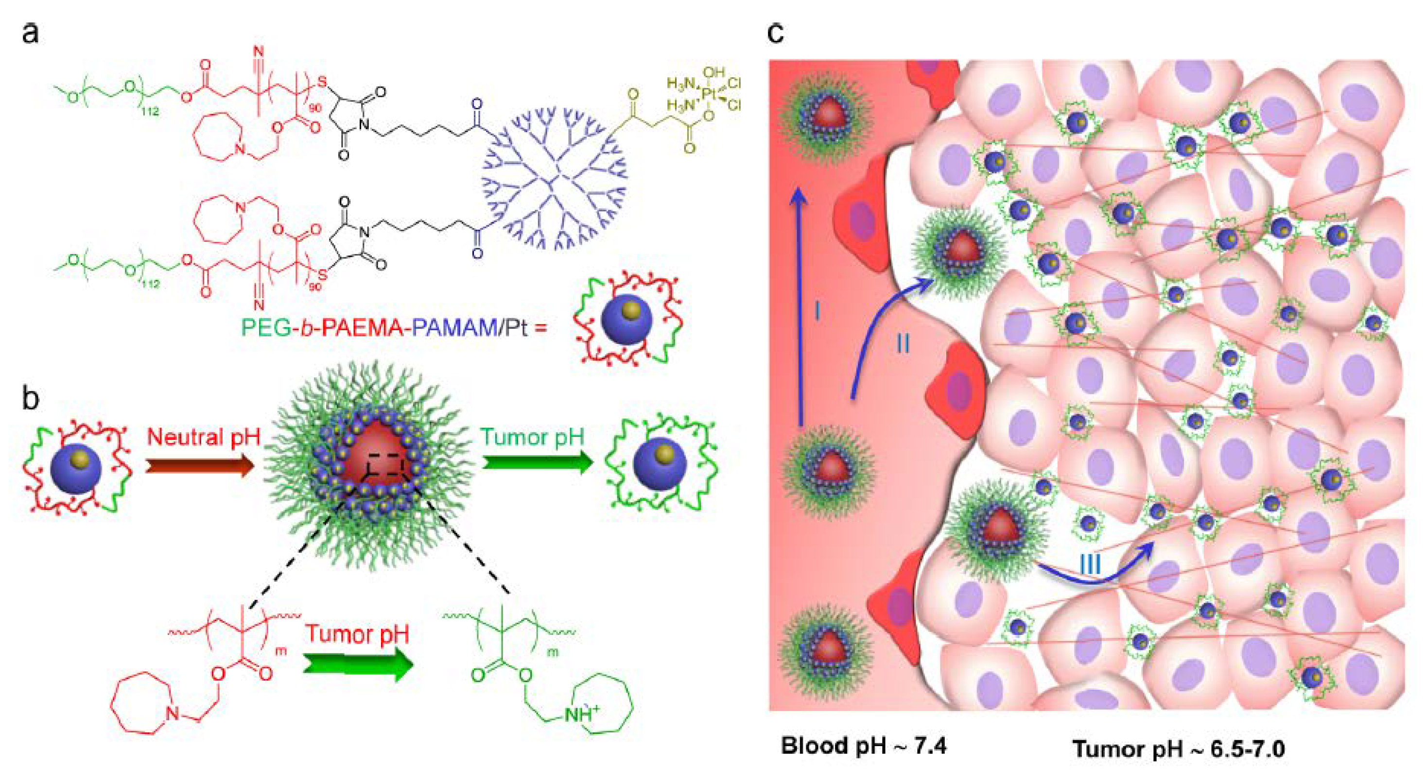 Pharmaceutics 10 00193 g003 Pharmaceutics 10 00193 g003