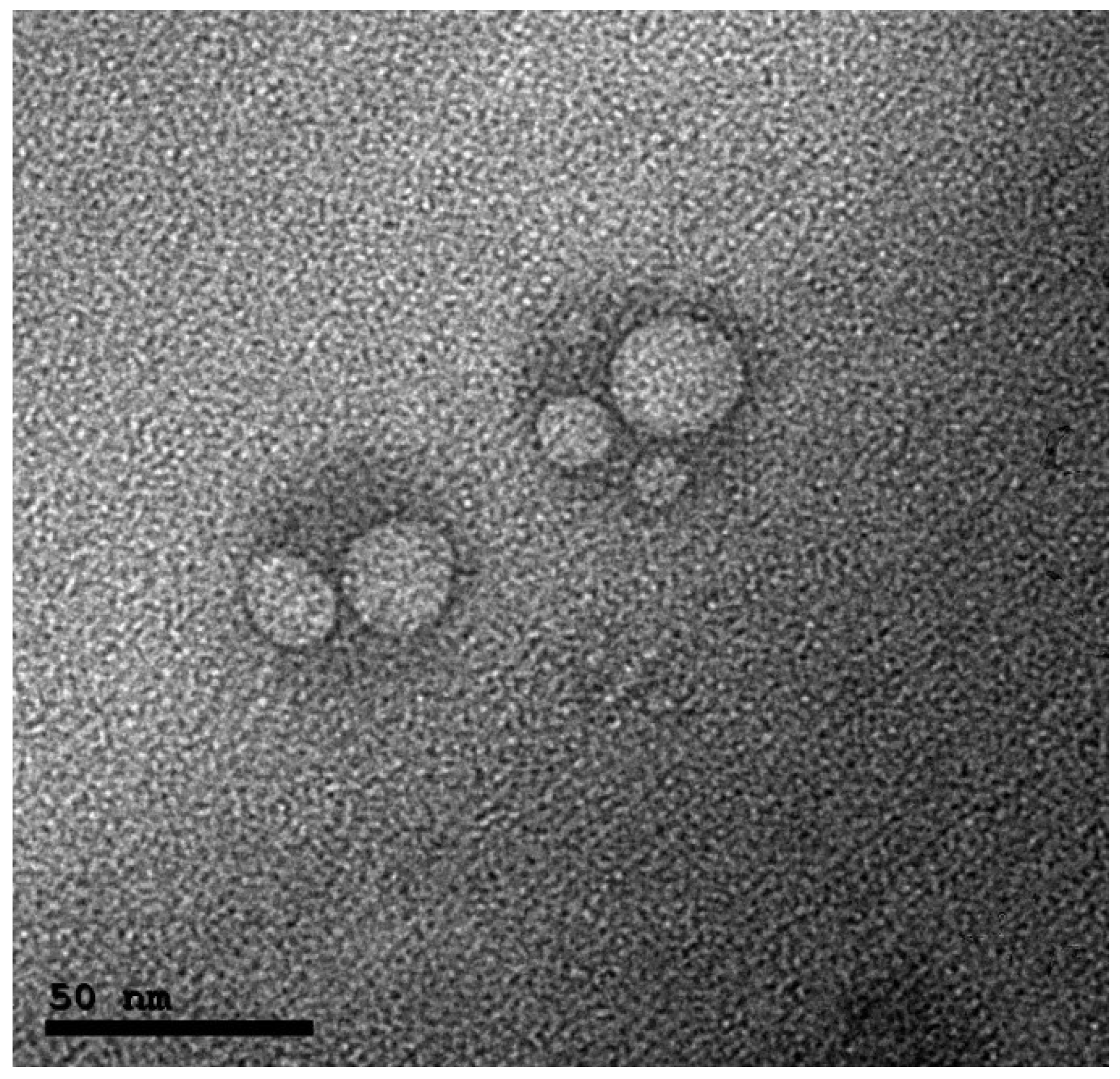 Pharmaceutics 10 00197 g001
