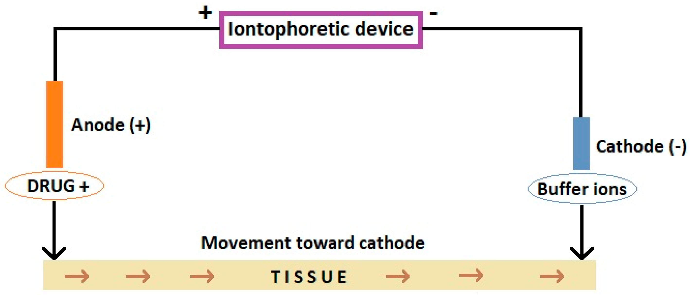 Pharmaceutics 10 00204 g001 Pharmaceutics 10 00204 g001
