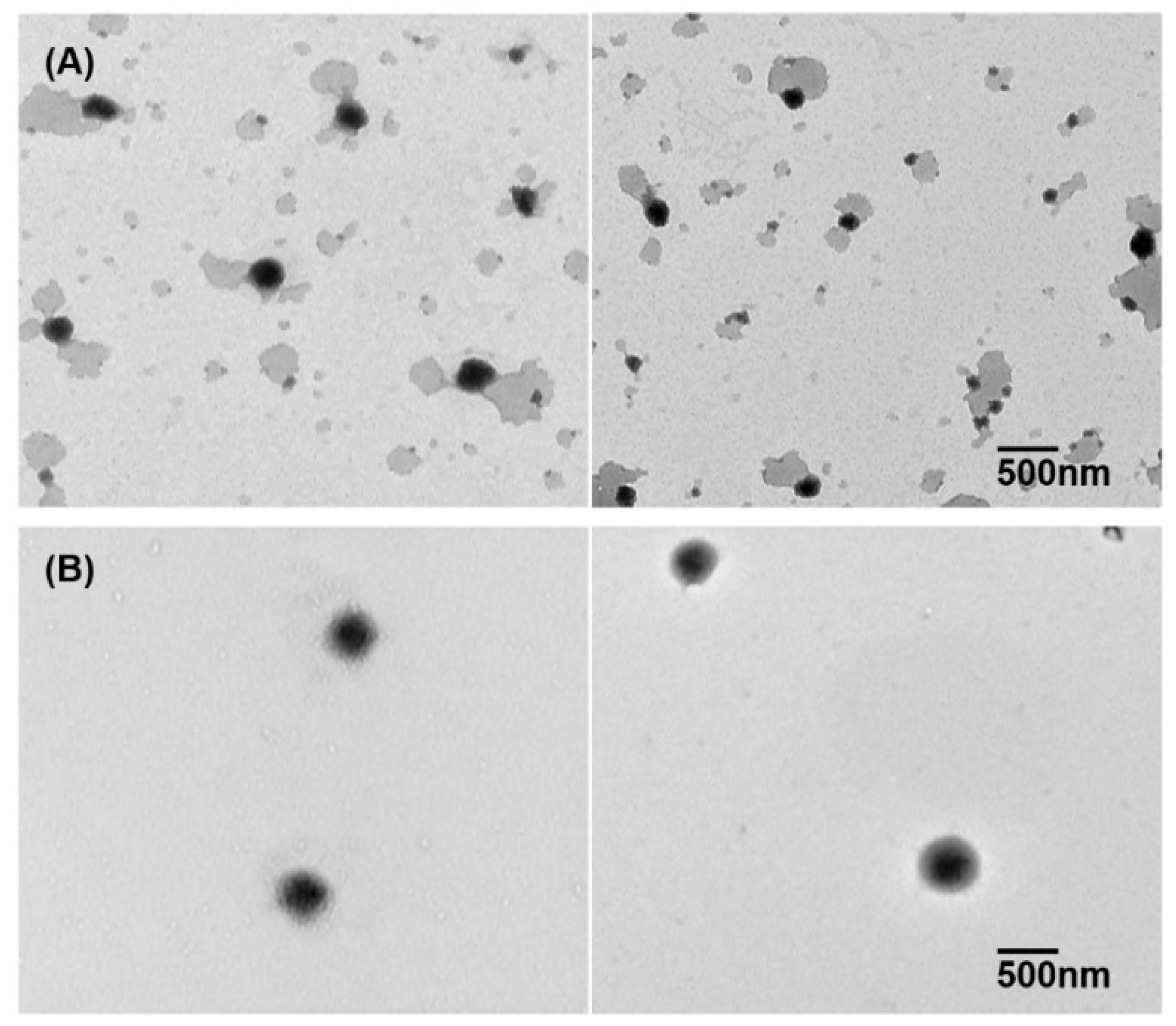 Pharmaceutics 10 00208 g005 Pharmaceutics 10 00208 g005
