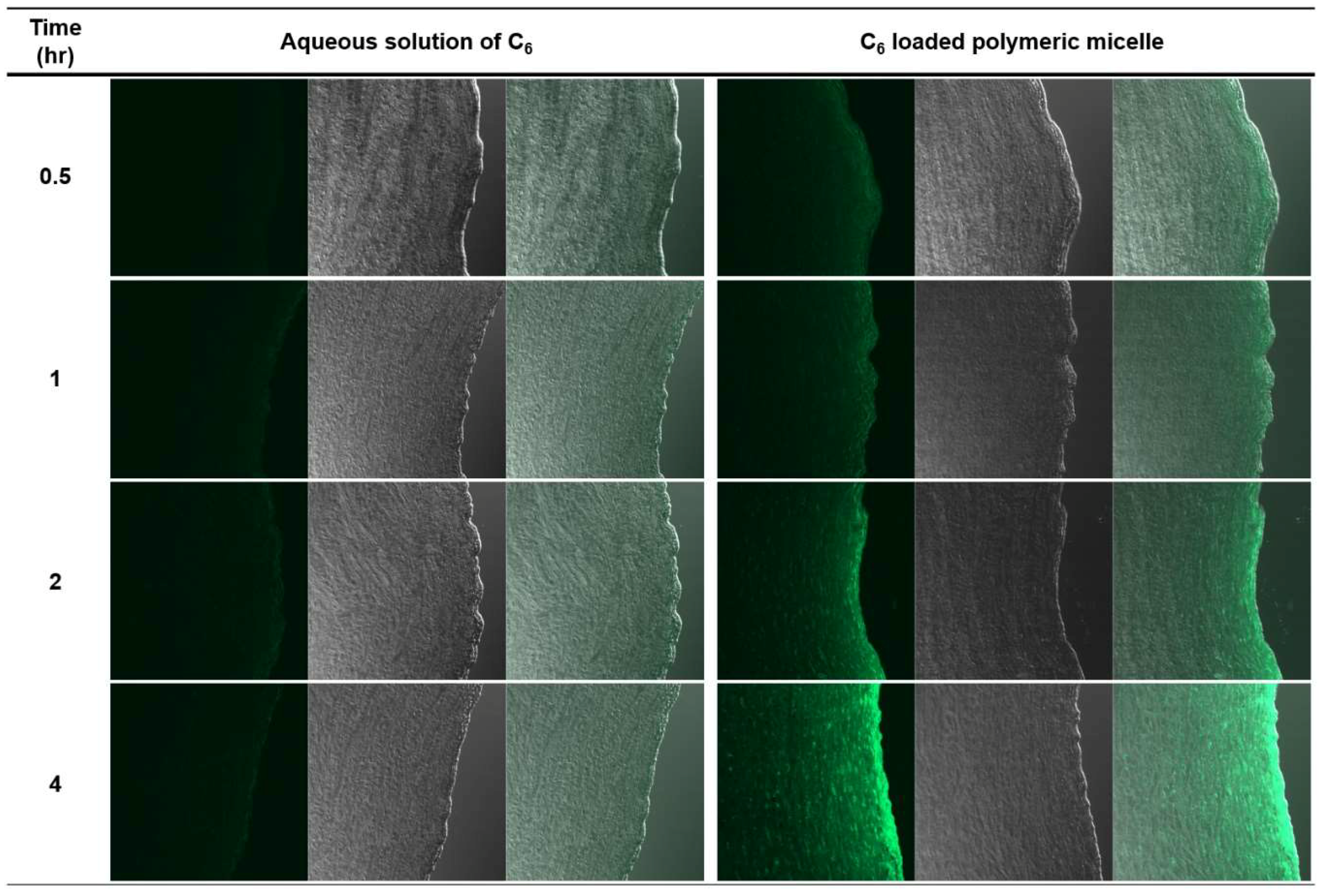 Pharmaceutics 10 00208 g008 Pharmaceutics 10 00208 g008