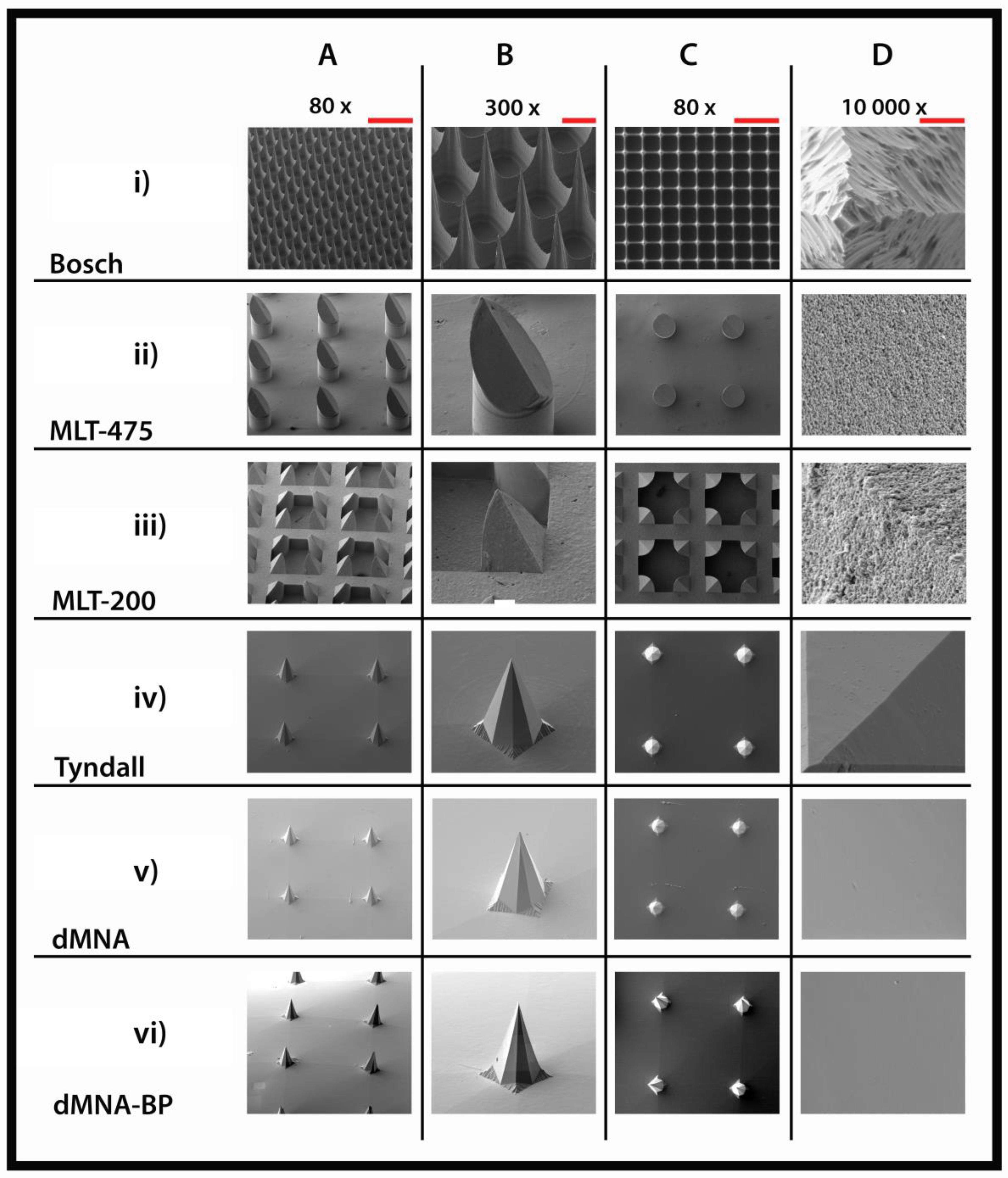 Pharmaceutics 10 00211 g005