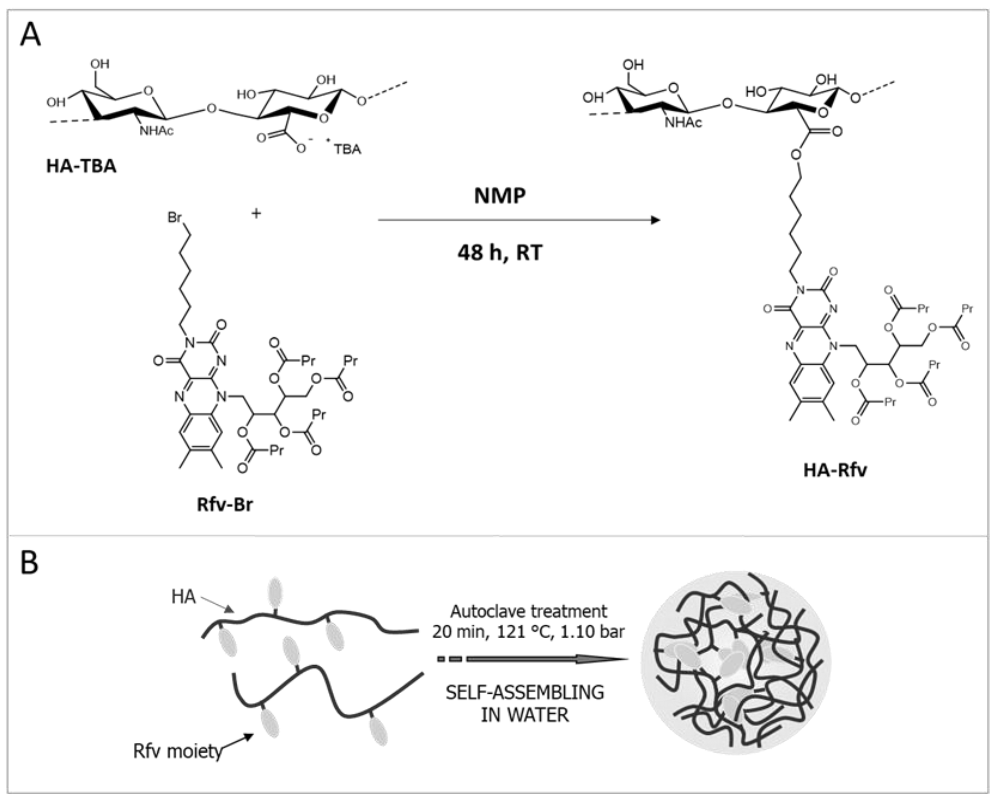 Pharmaceutics 10 00213 g001