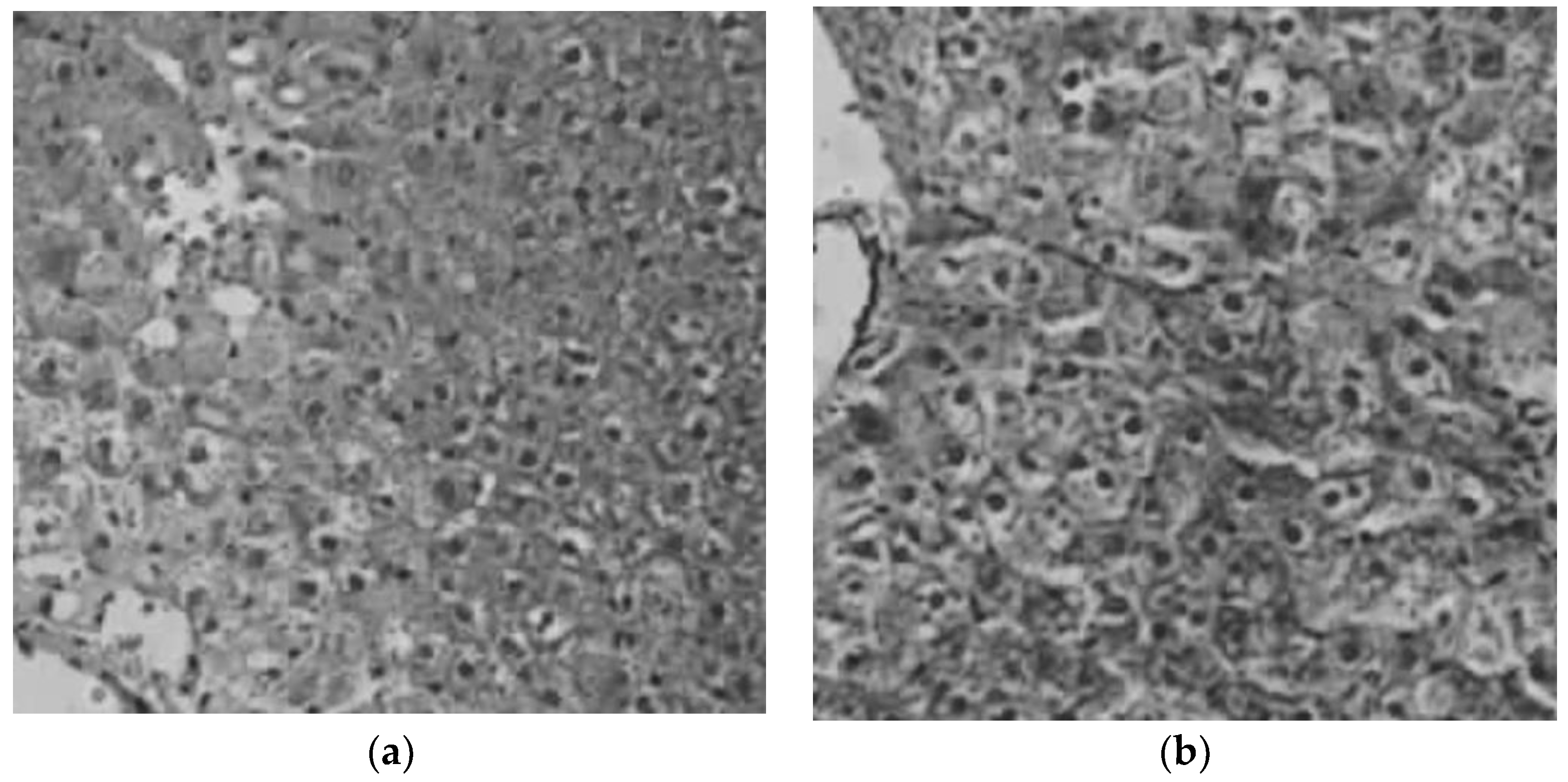 Pharmaceutics 10 00213 g004