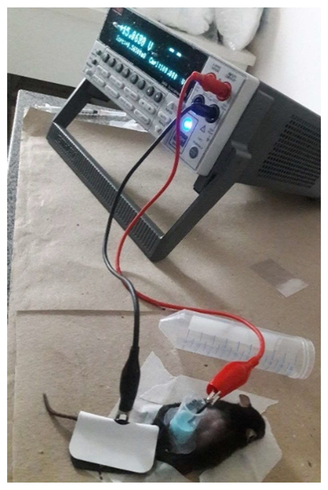 Pharmaceutics 10 00214 g001