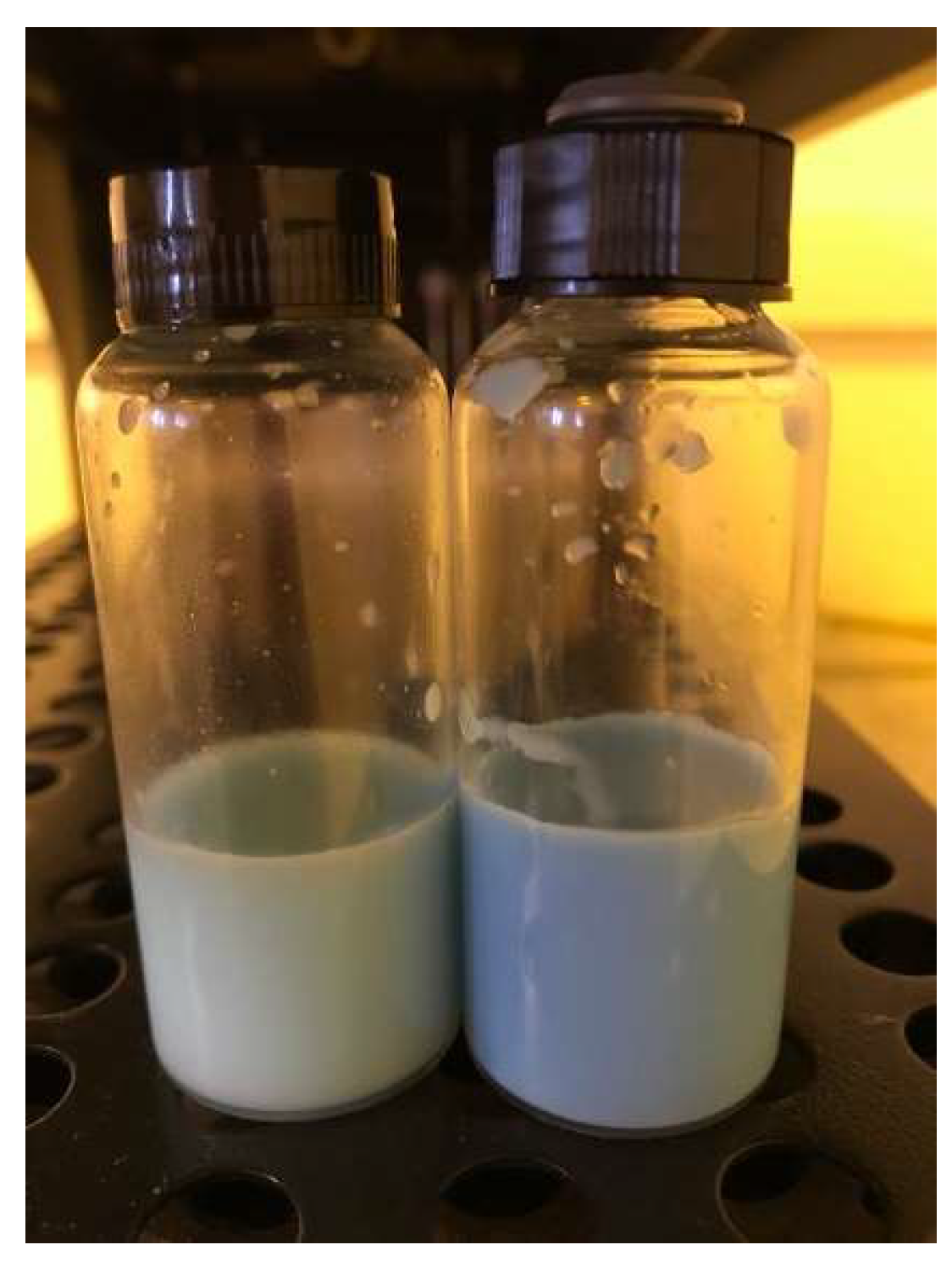 Pharmaceutics 10 00214 g002