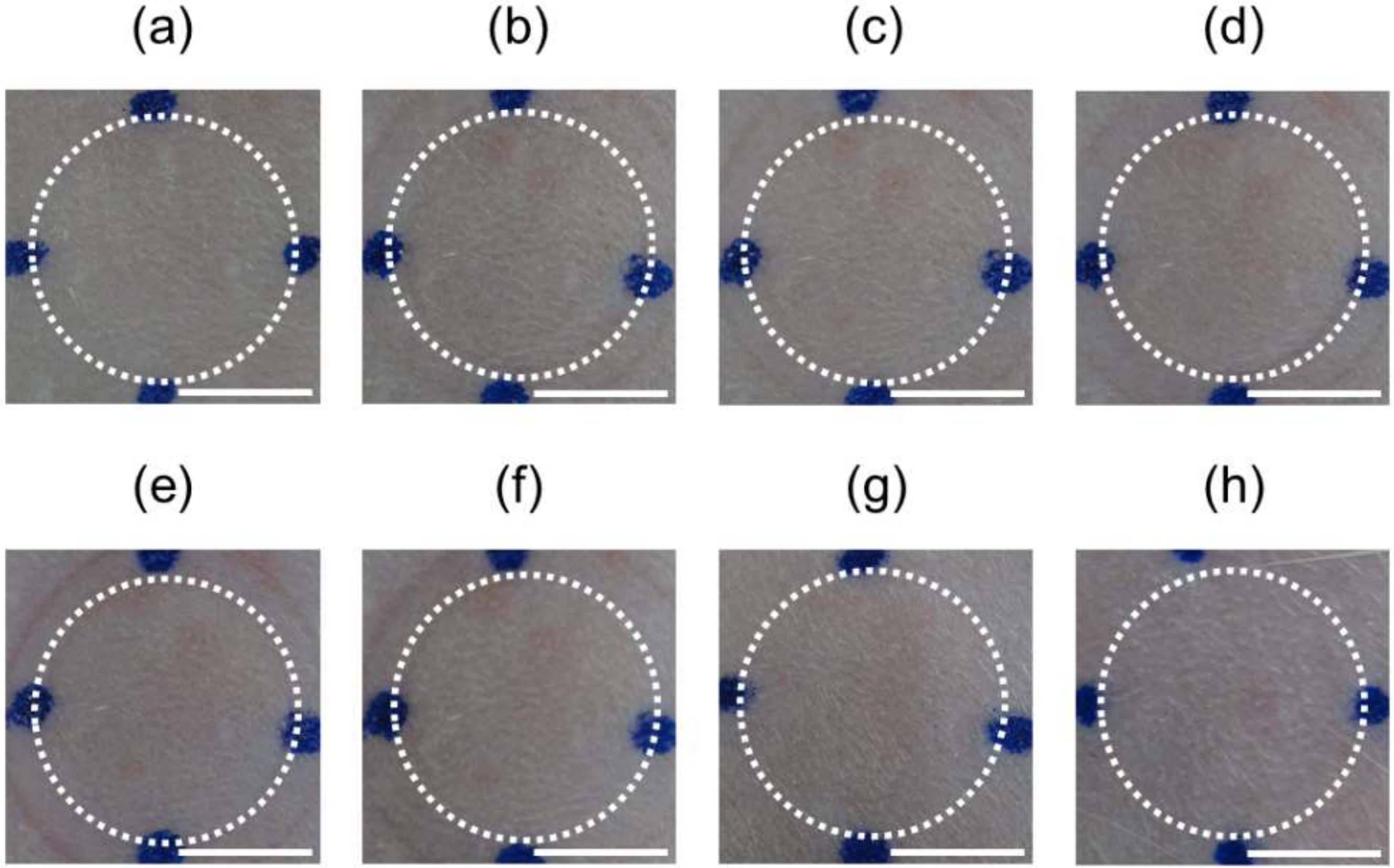 Pharmaceutics 10 00215 g007 Pharmaceutics 10 00215 g007