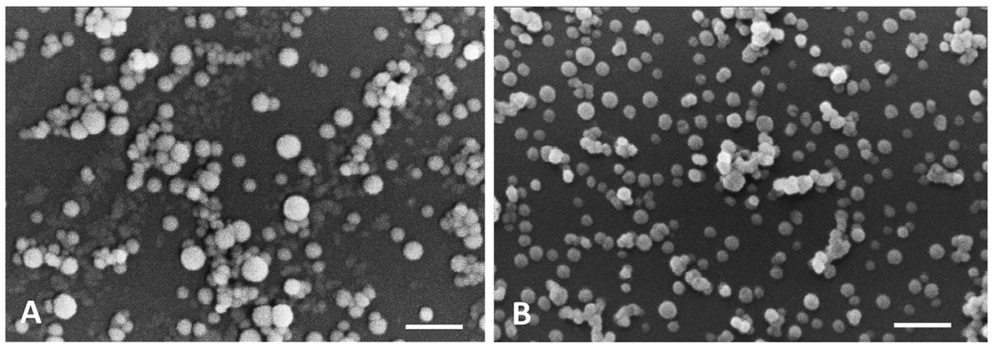 Pharmaceutics 10 00216 g007 Pharmaceutics 10 00216 g007