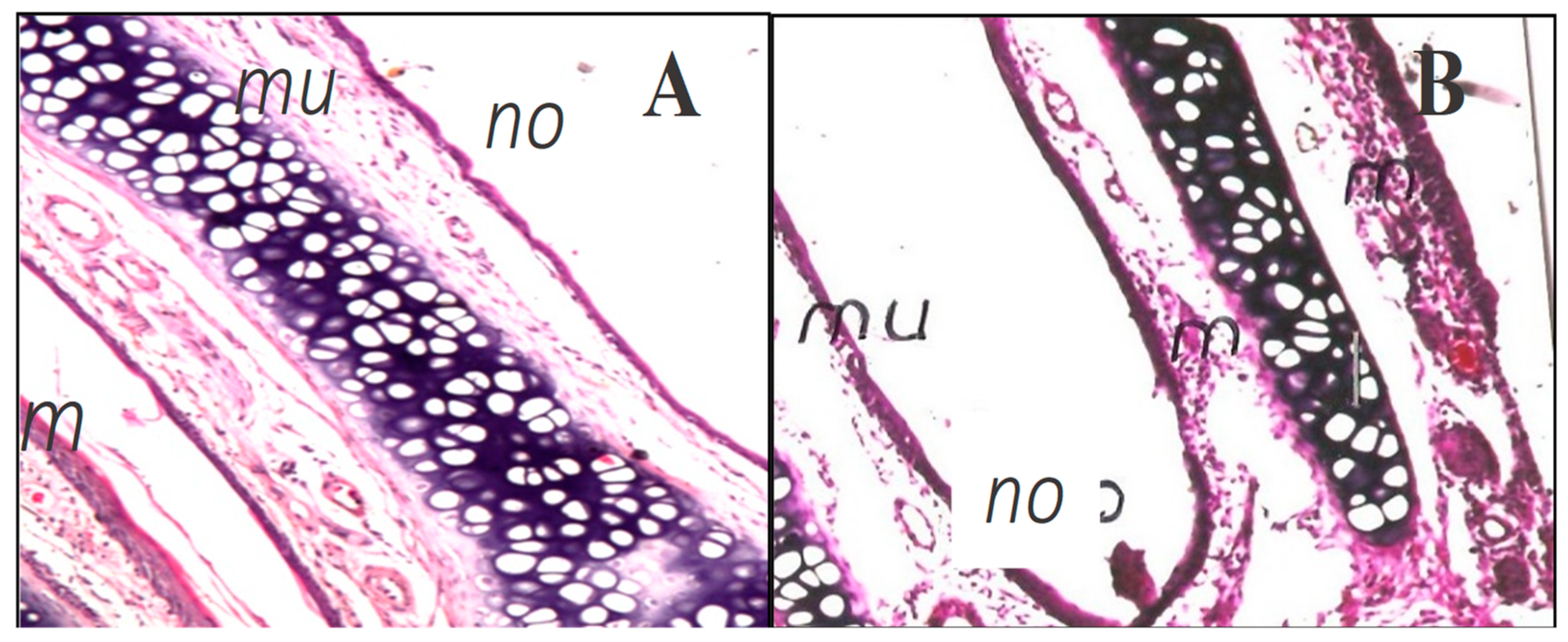 Pharmaceutics 10 00217 g006 Pharmaceutics 10 00217 g006