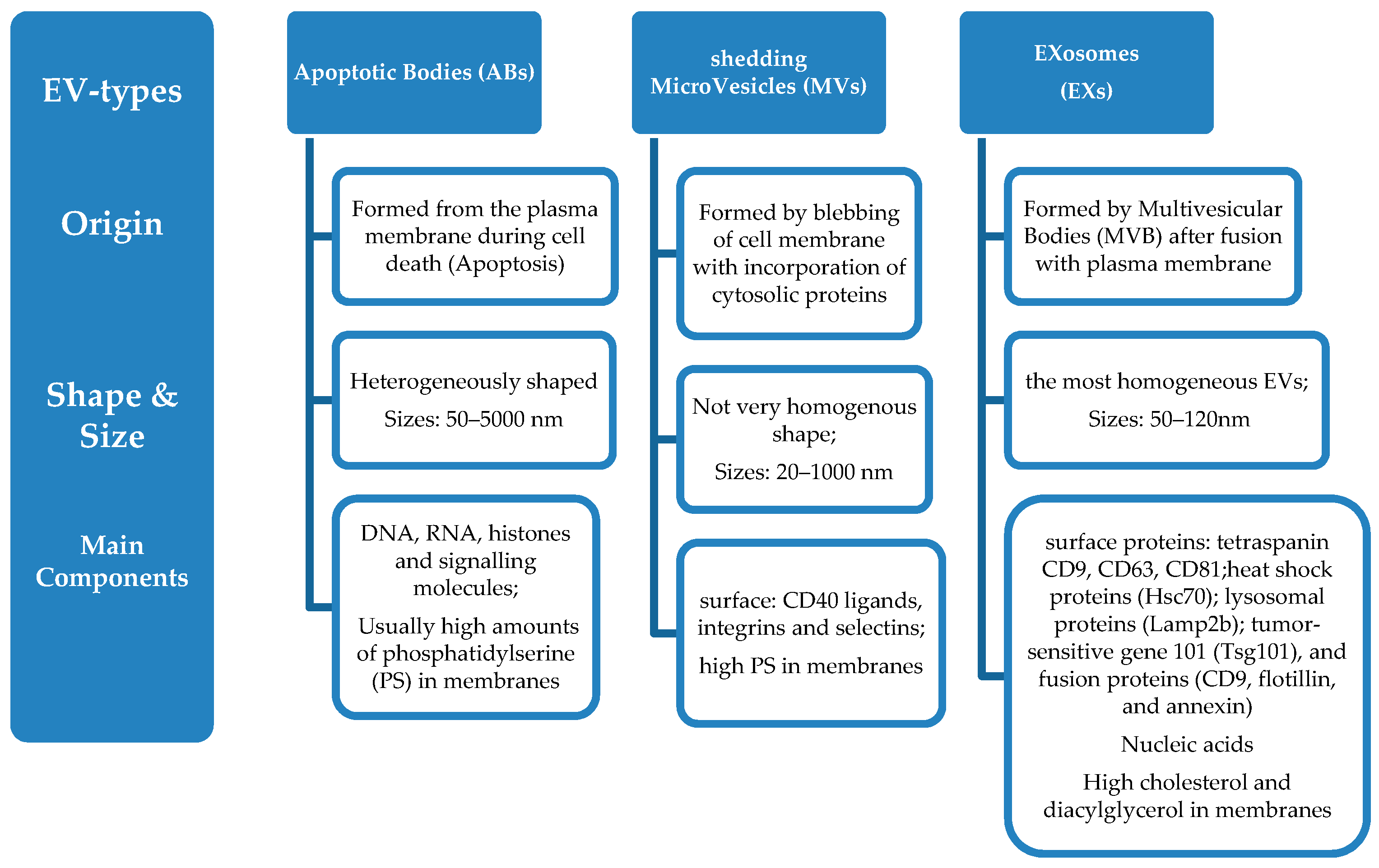 Pharmaceutics 10 00218 sch001