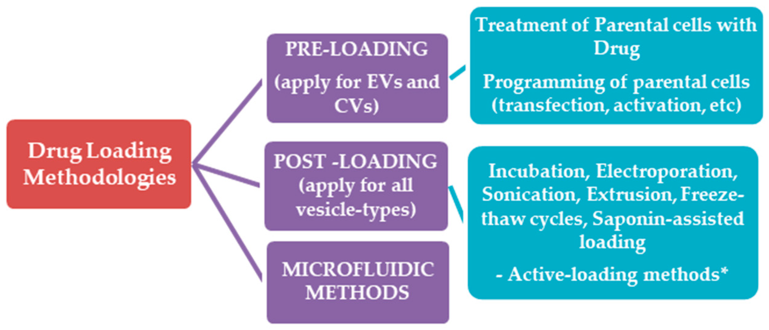 Pharmaceutics 10 00218 sch004