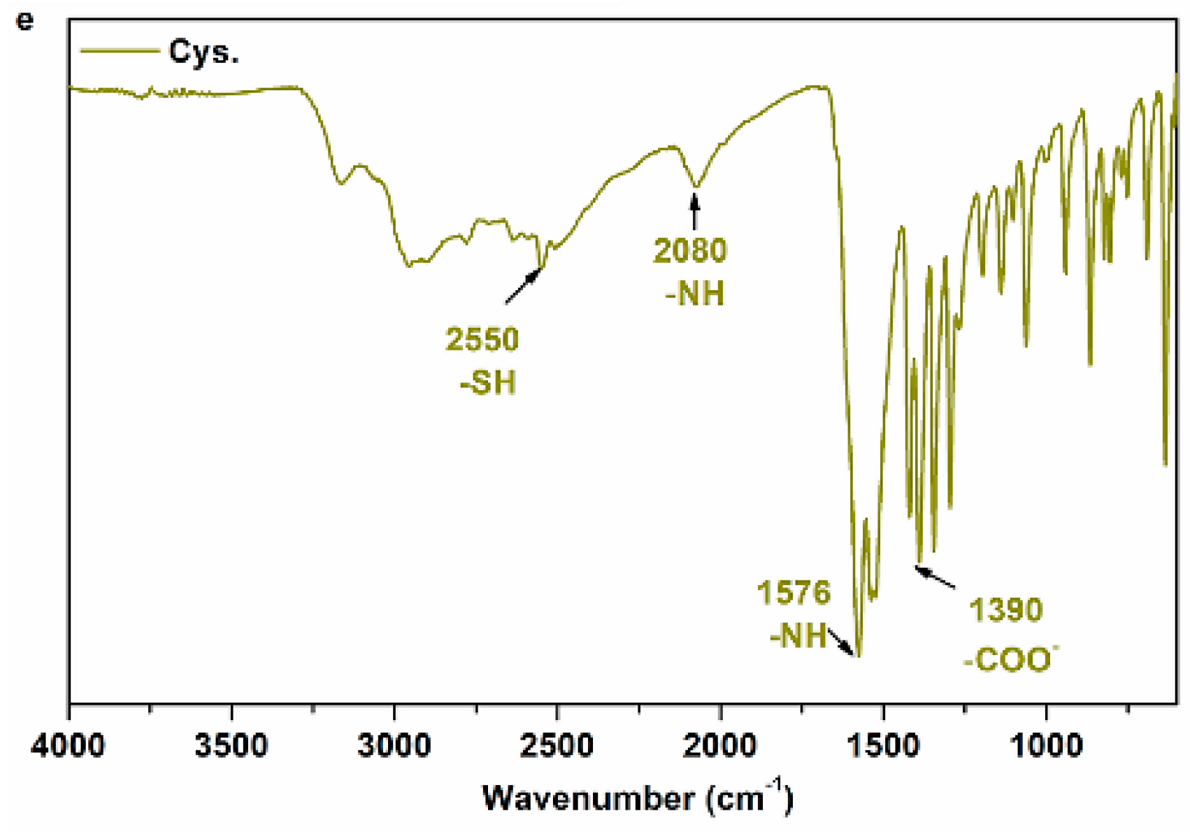 Pharmaceutics 10 00220 g001b Pharmaceutics 10 00220 g001b