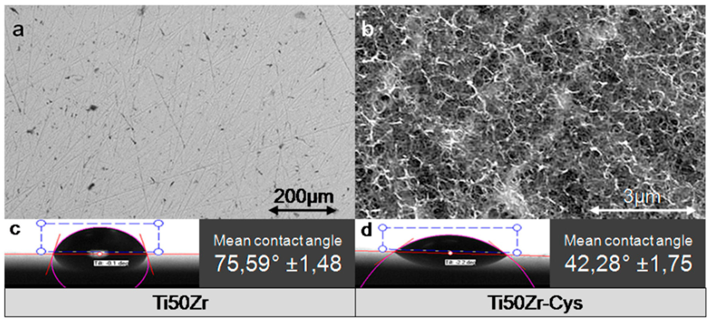 Pharmaceutics 10 00220 g002 Pharmaceutics 10 00220 g002