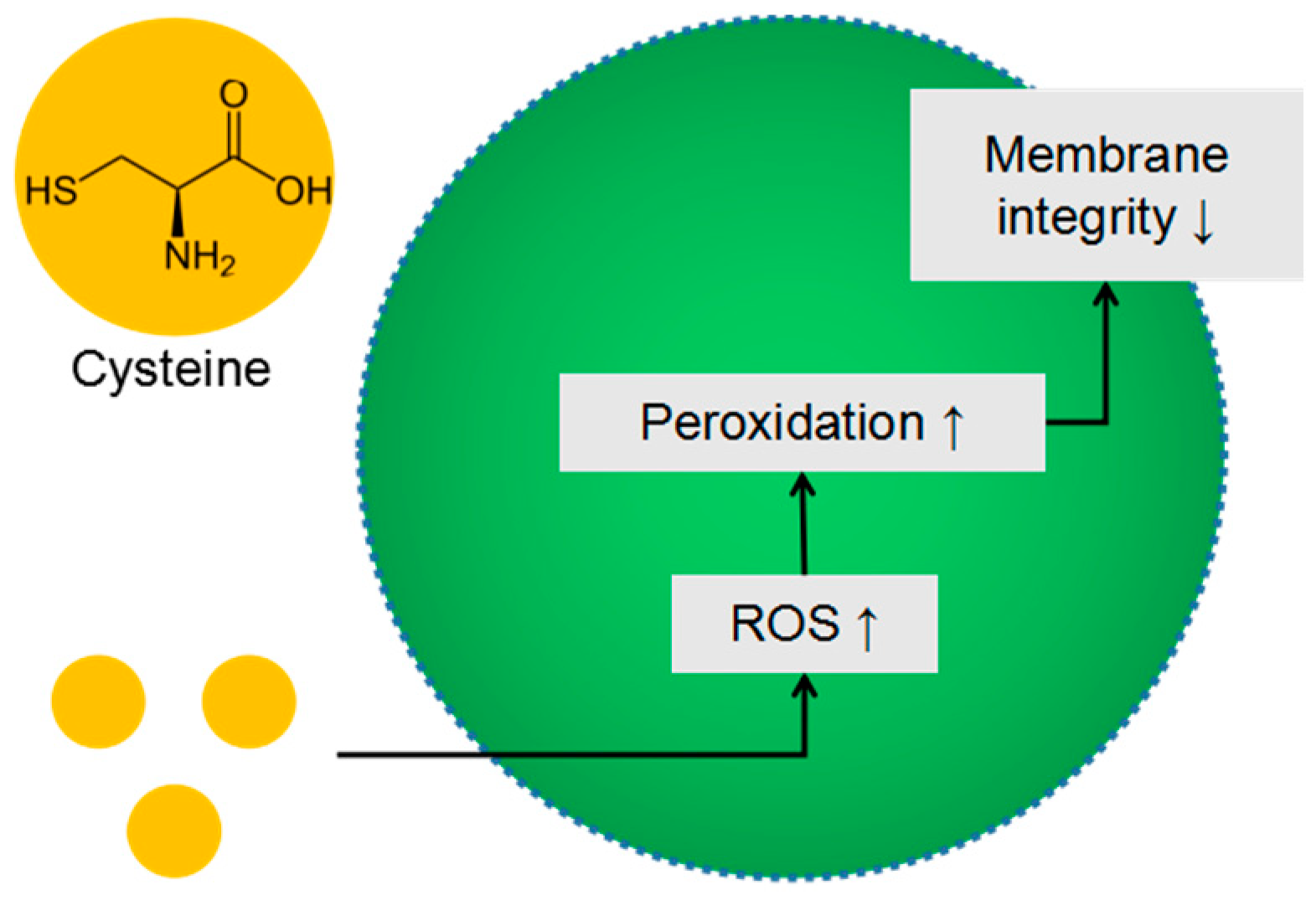 Pharmaceutics 10 00220 g008 Pharmaceutics 10 00220 g008