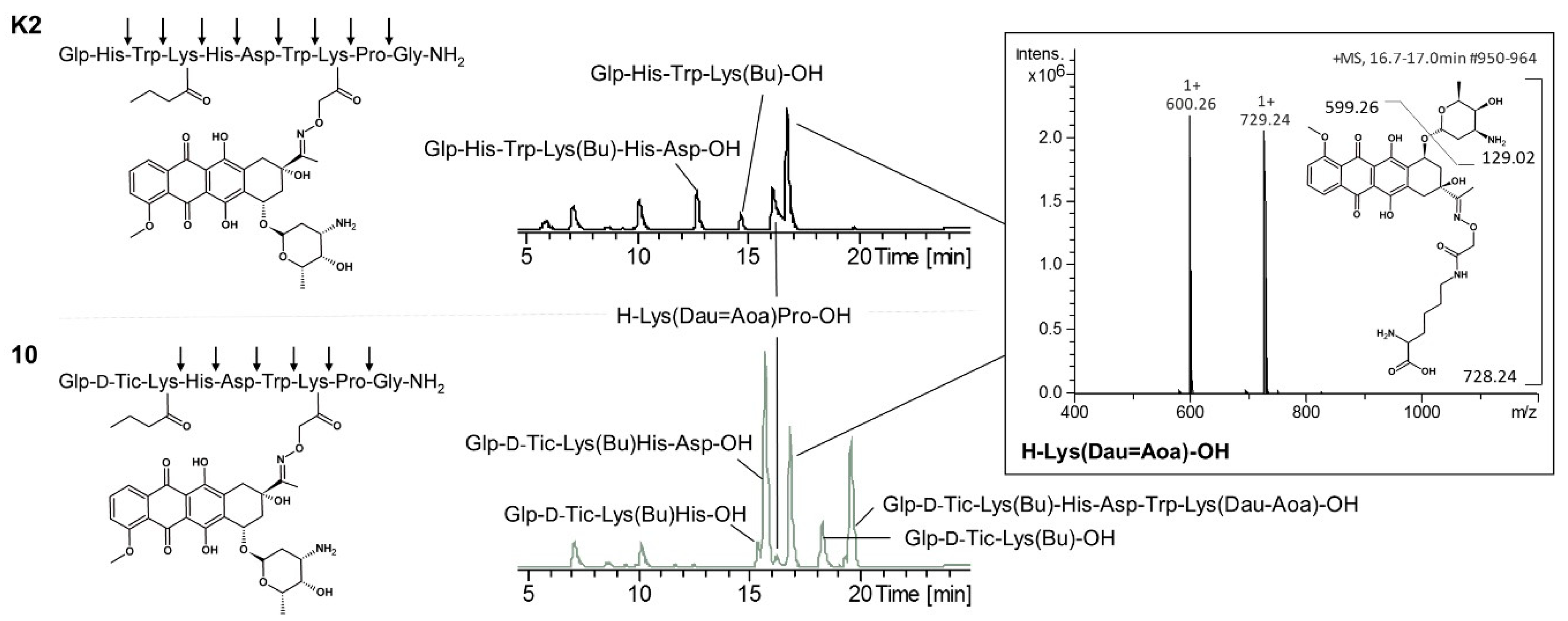 Pharmaceutics 10 00223 g002 Pharmaceutics 10 00223 g002