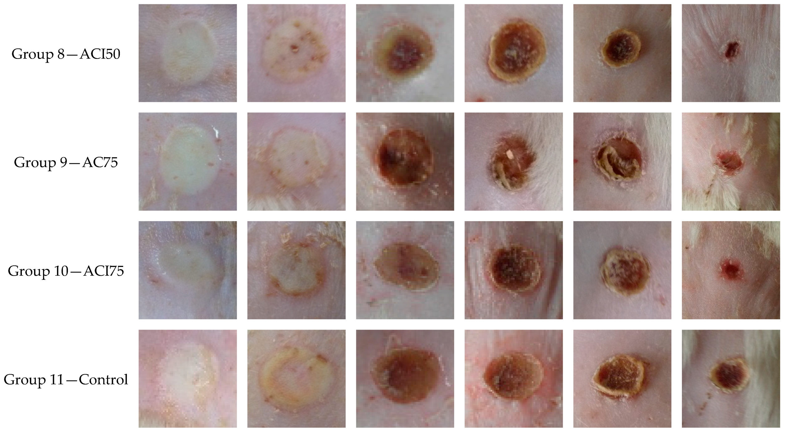 Pharmaceutics 10 00224 g008b