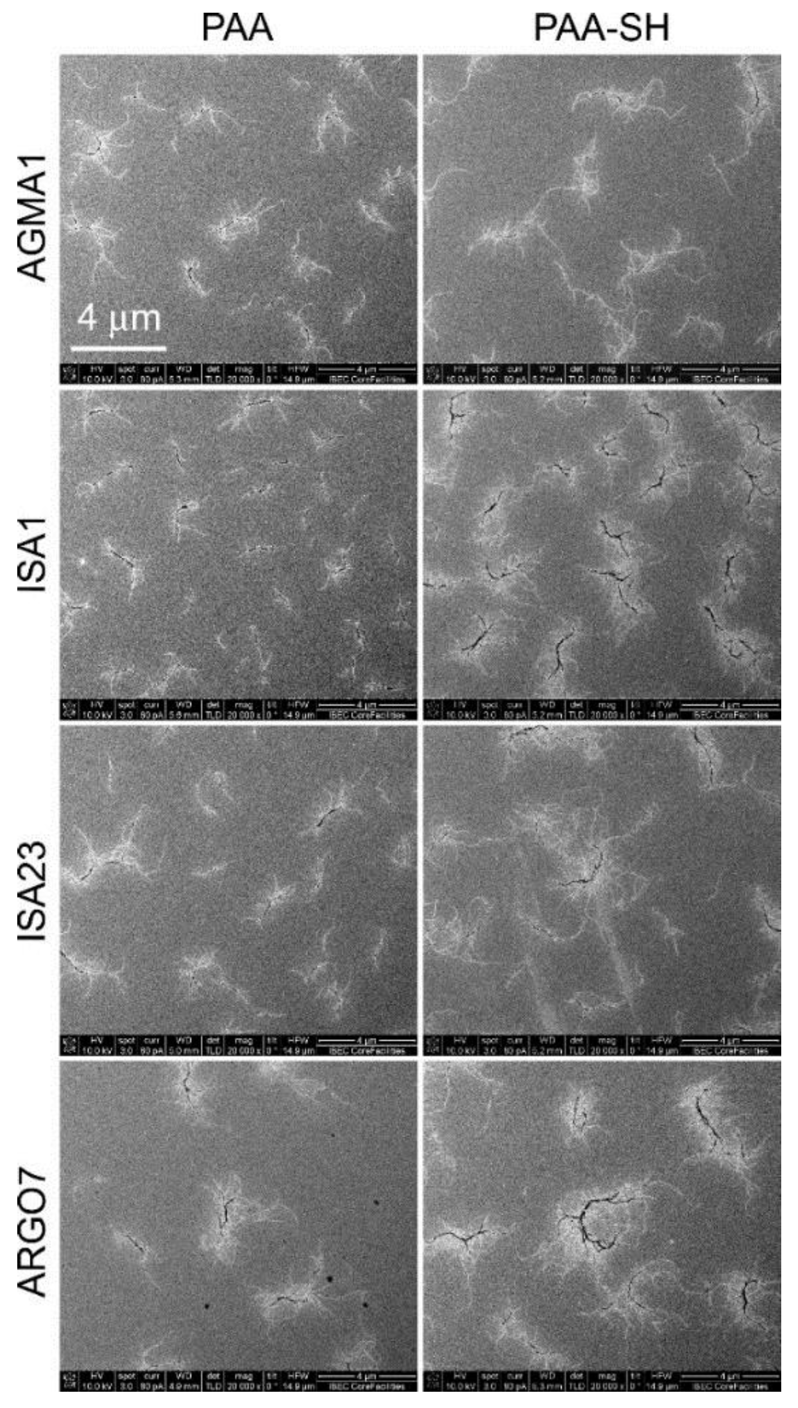Pharmaceutics 10 00225 g002